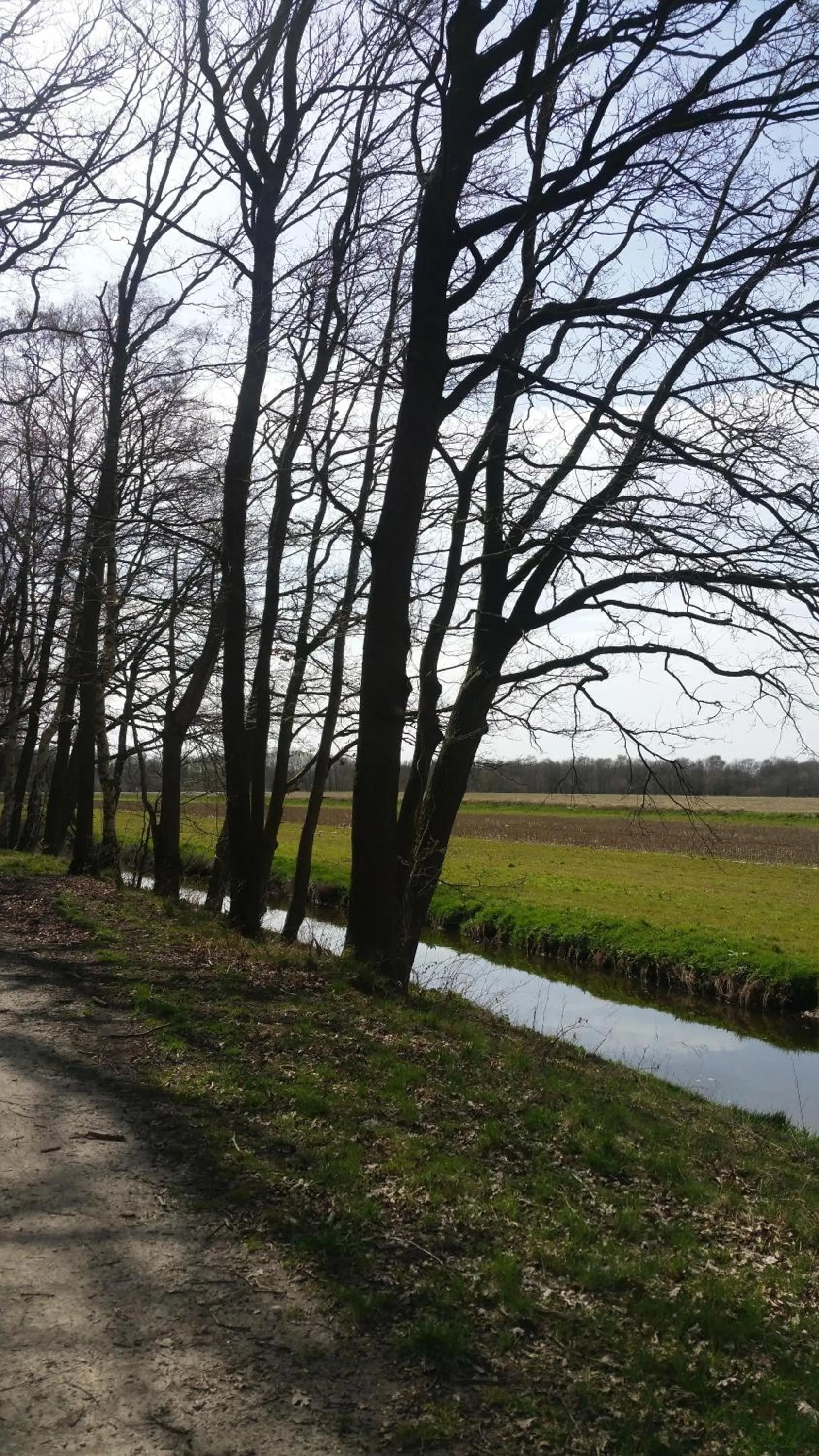 Area and facilities in B&B Perron 22