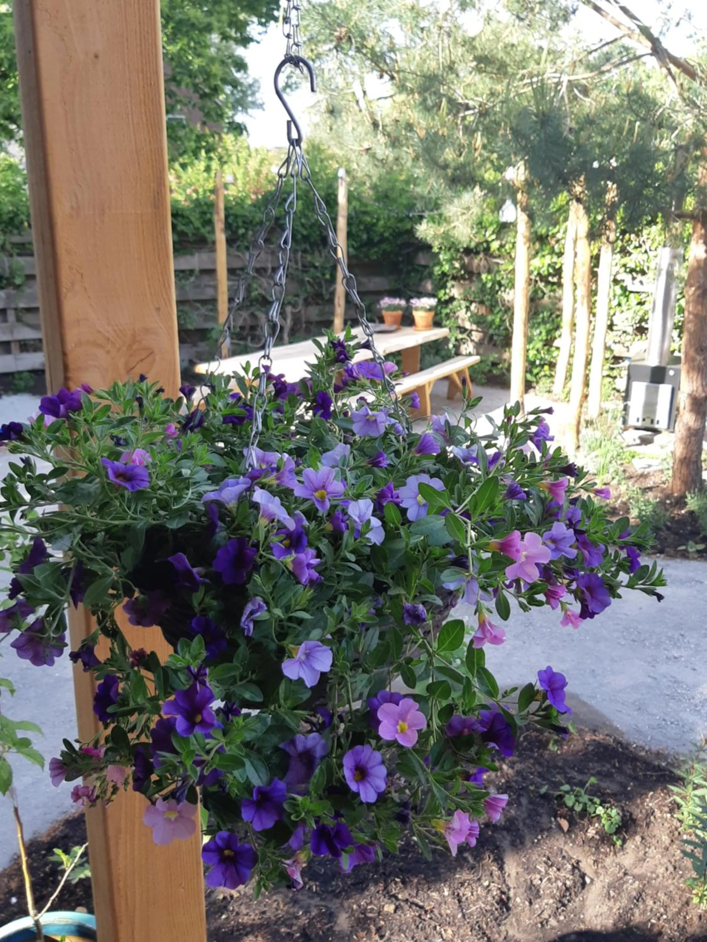 Garden in B&B Perron 22