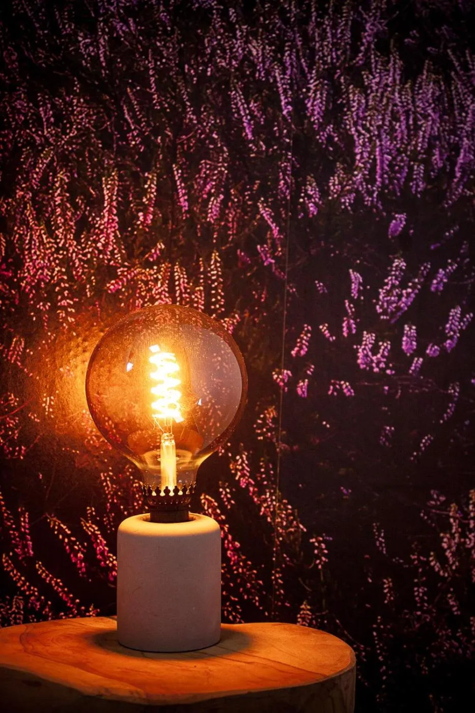 Photo of the whole room in Alpine Hotel