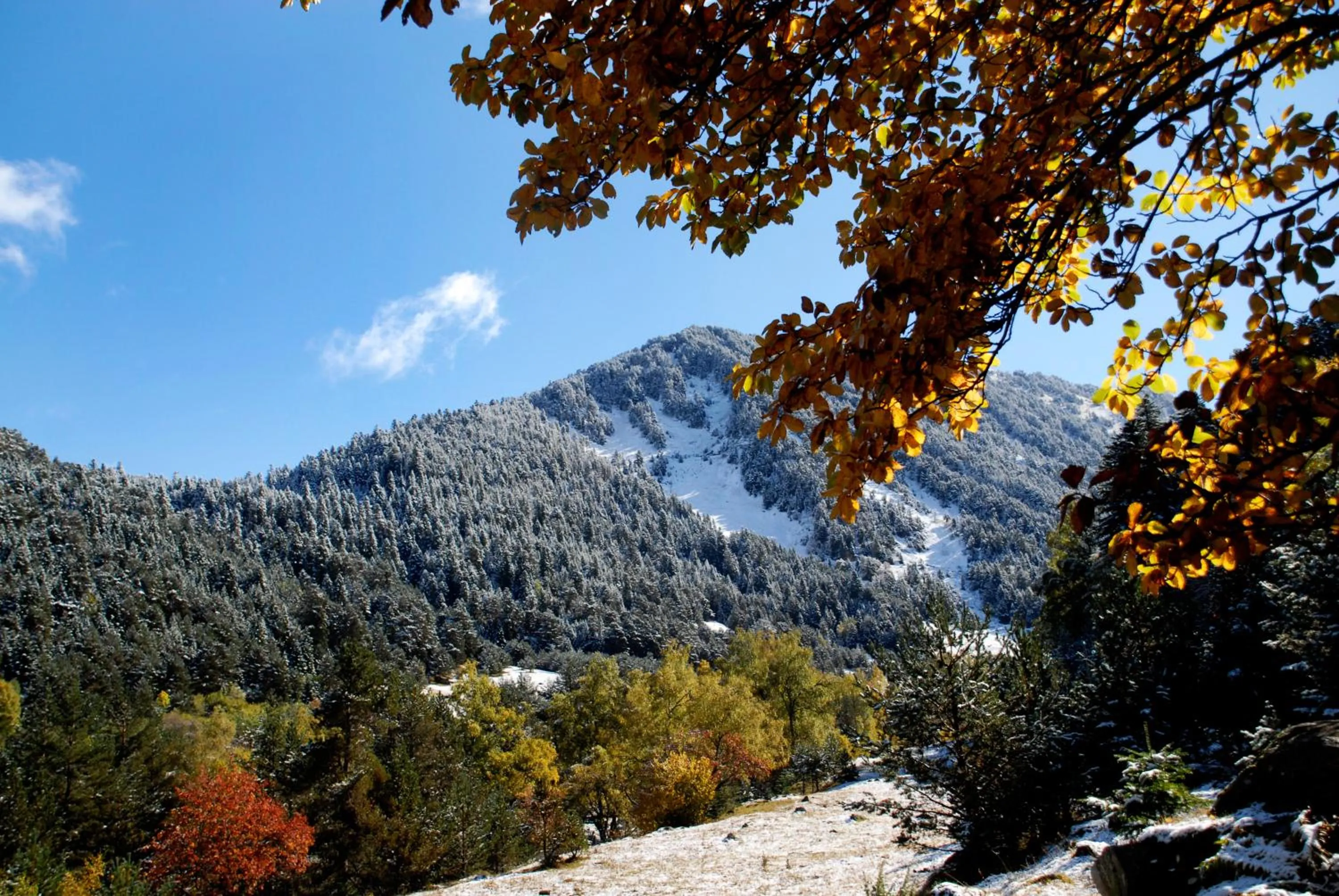 Area and facilities in Hotel Vilagaros