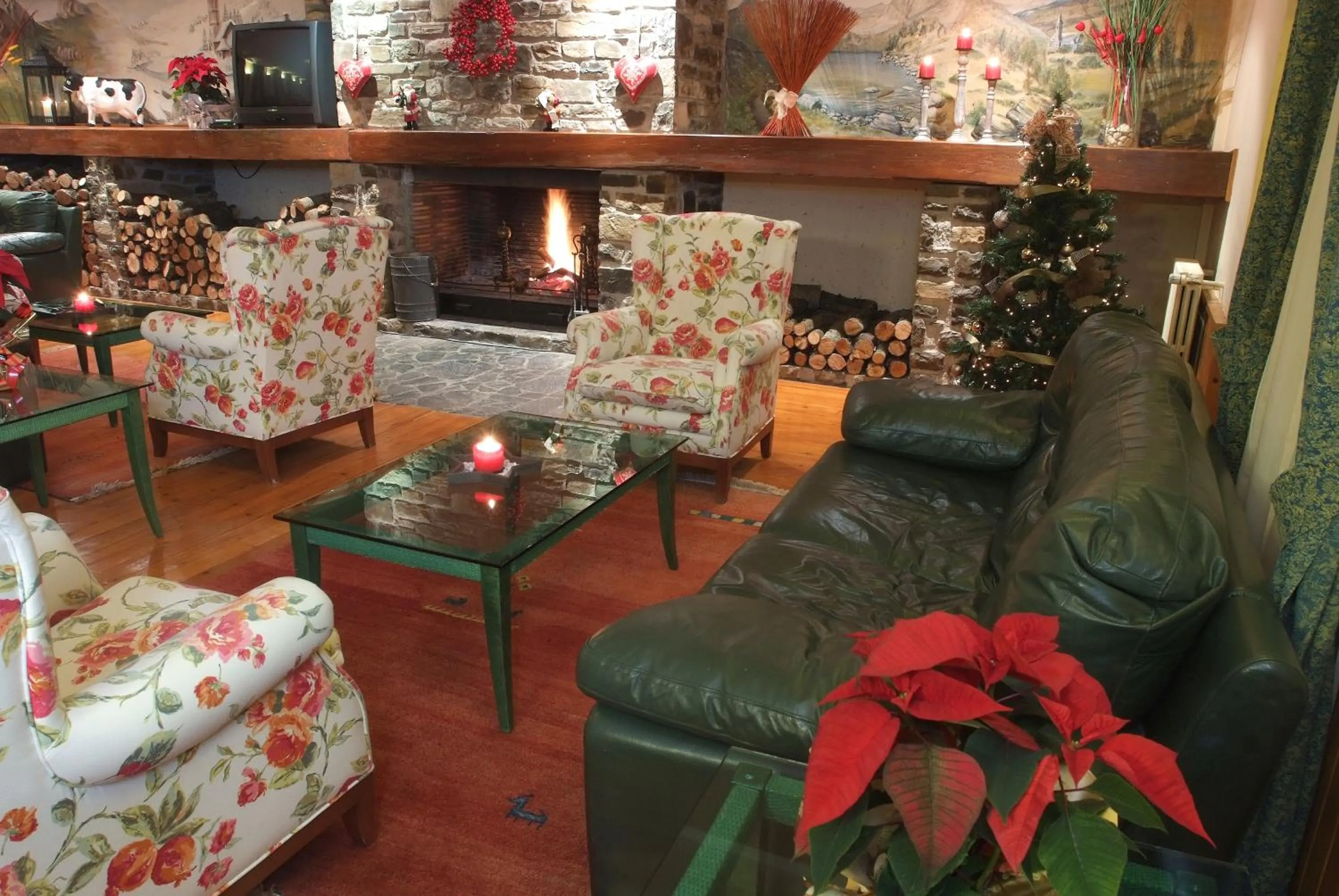 Communal lounge/ TV room in Hotel Vilagaros