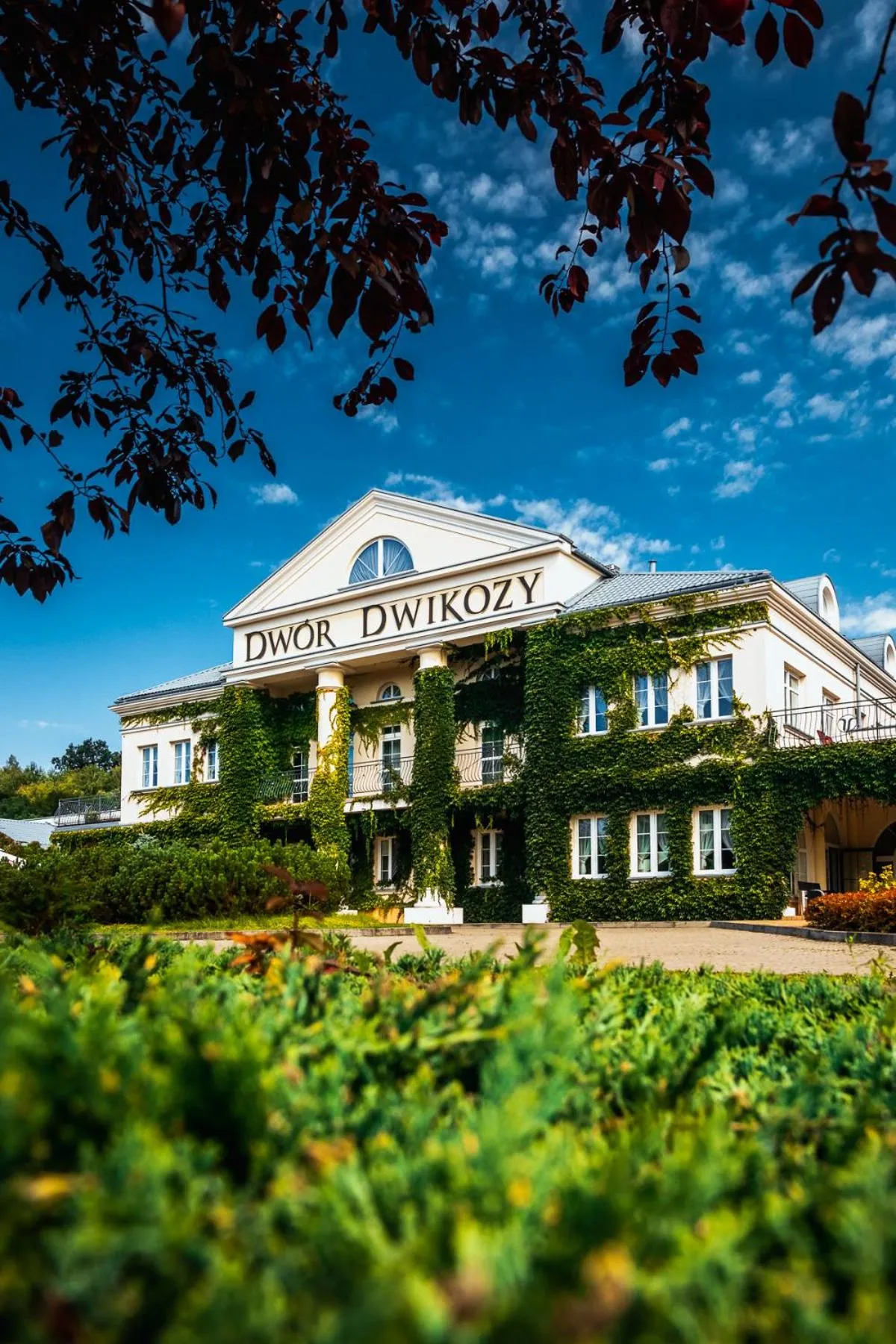 Property building in Dwór Dwikozy