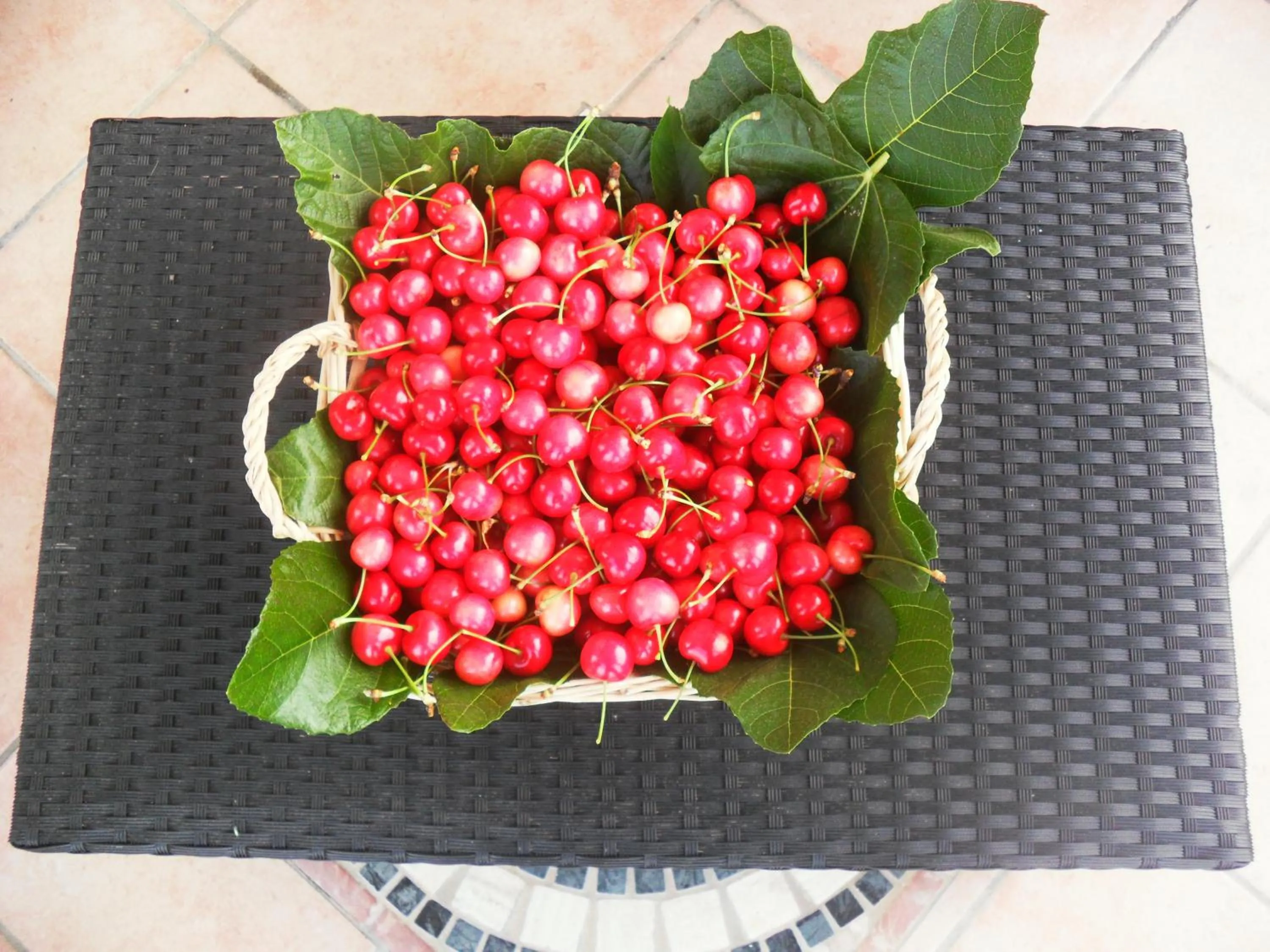 Food close-up in La Vecchia Taverna B&B