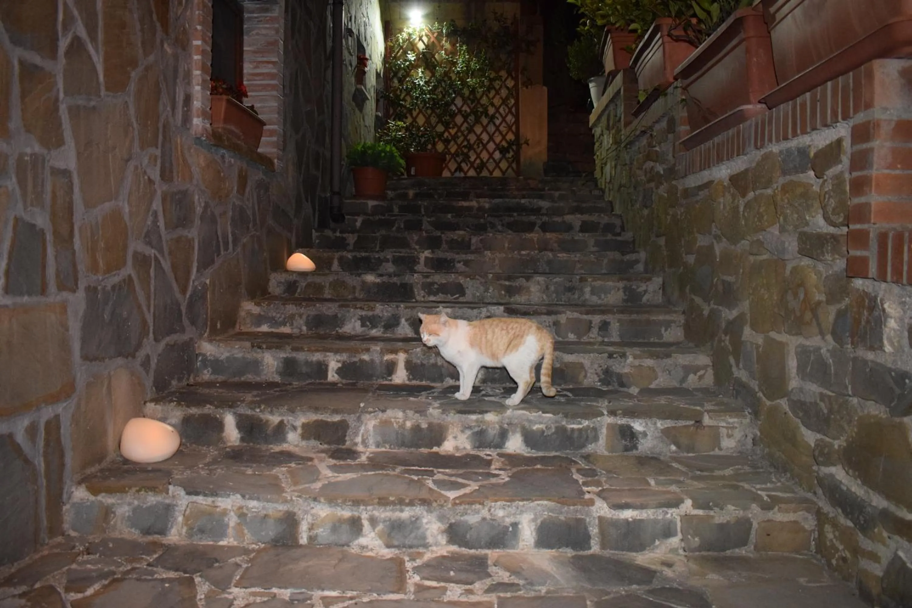 Property building in La Vecchia Taverna B&B