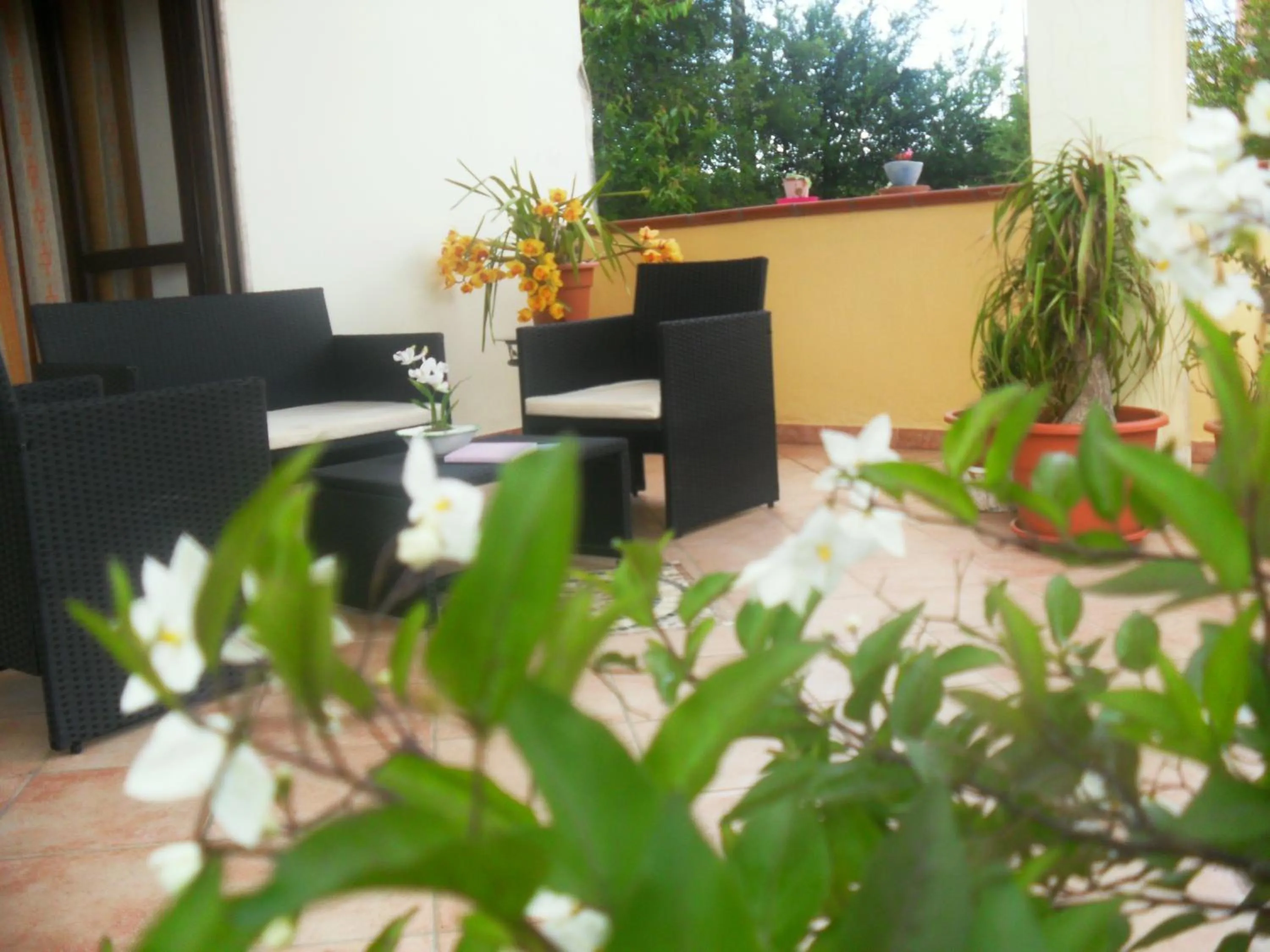 Balcony/Terrace in La Vecchia Taverna B&B