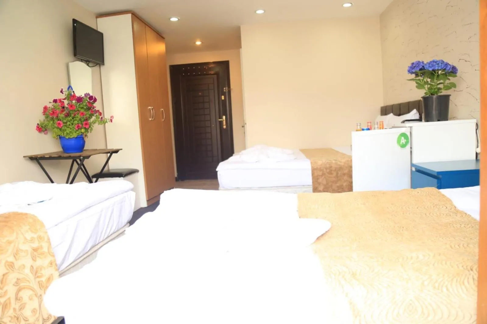 Bed in holiday family apart