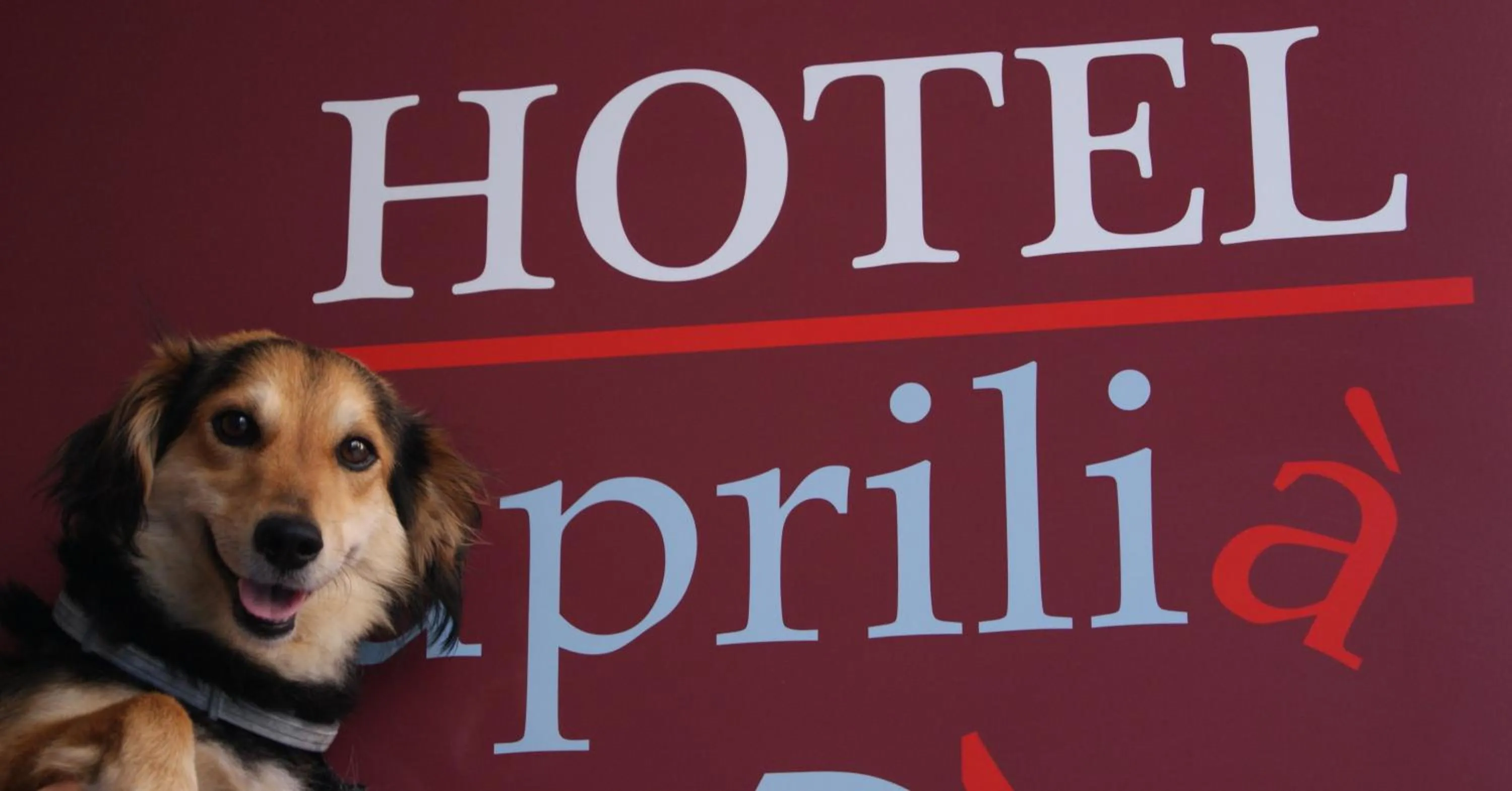 Pets in Residence Aprilia