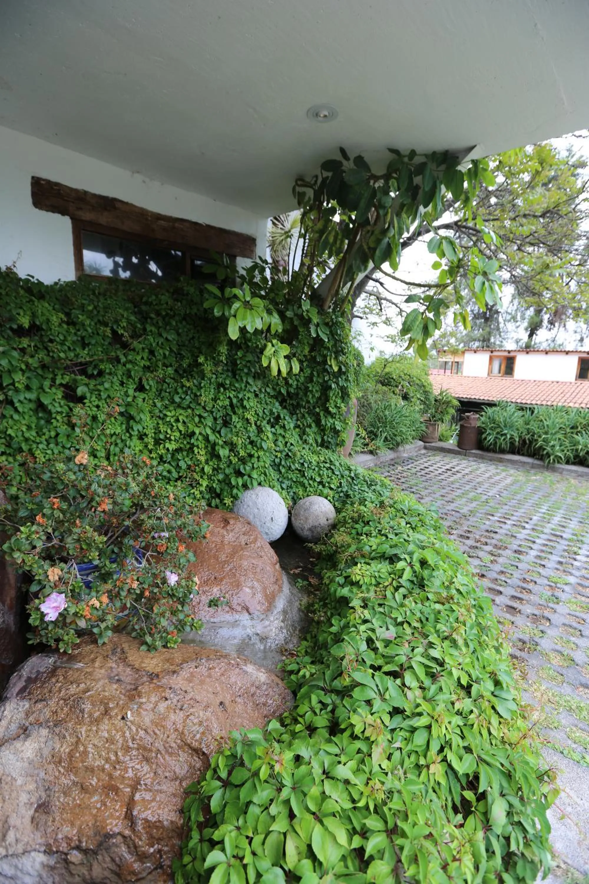 Garden in Casa de la Loma