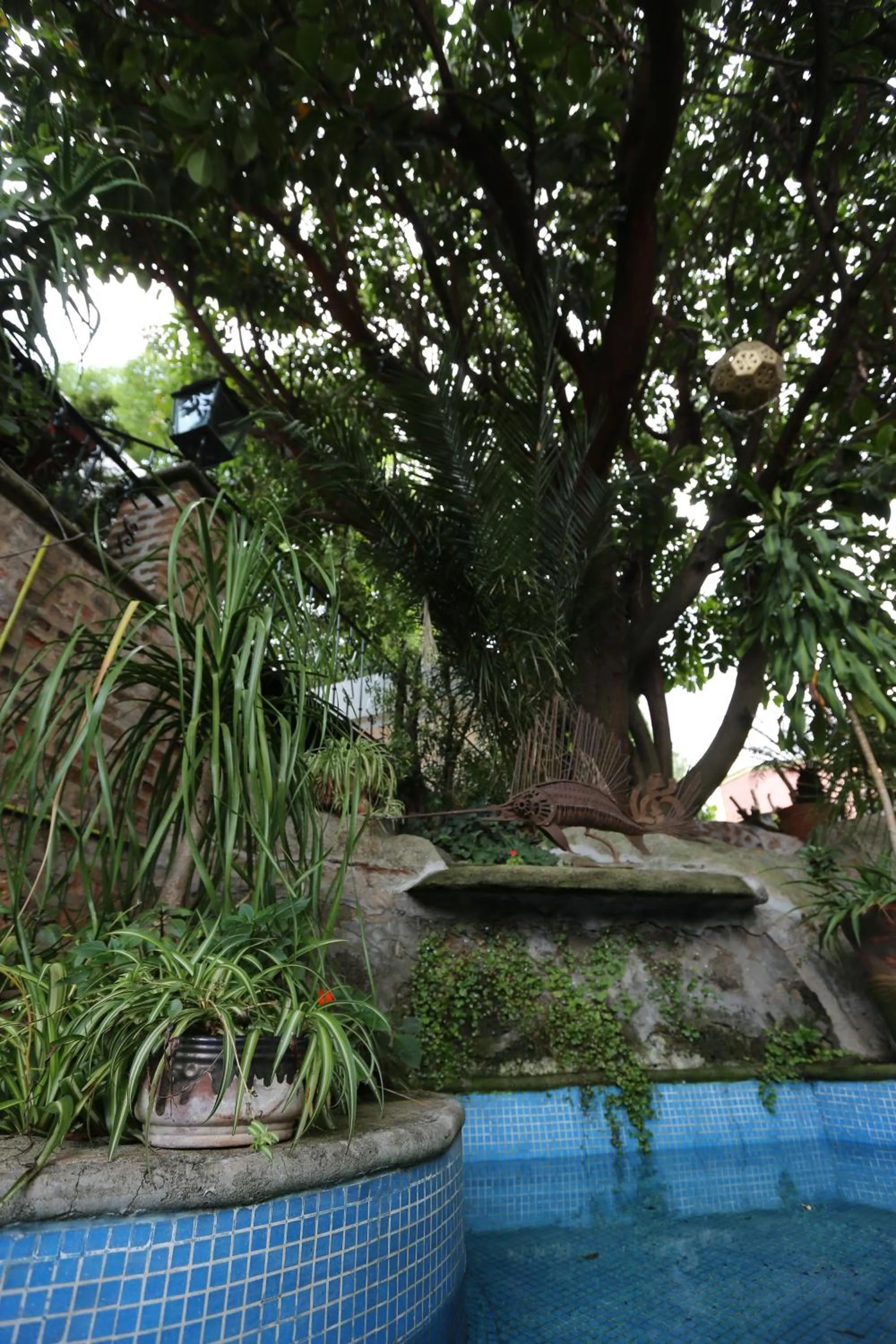Garden in Casa de la Loma