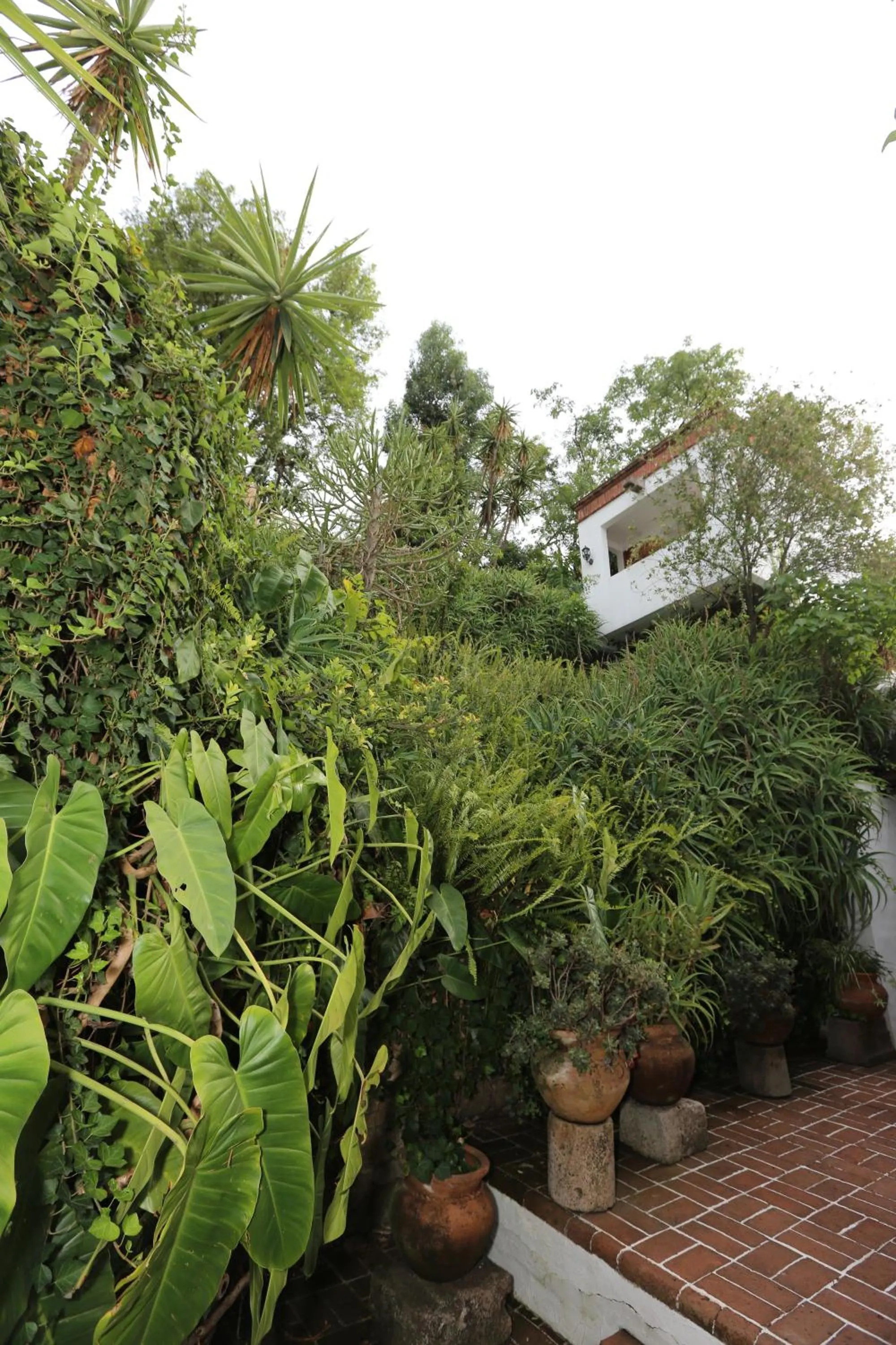 Property building in Casa de la Loma