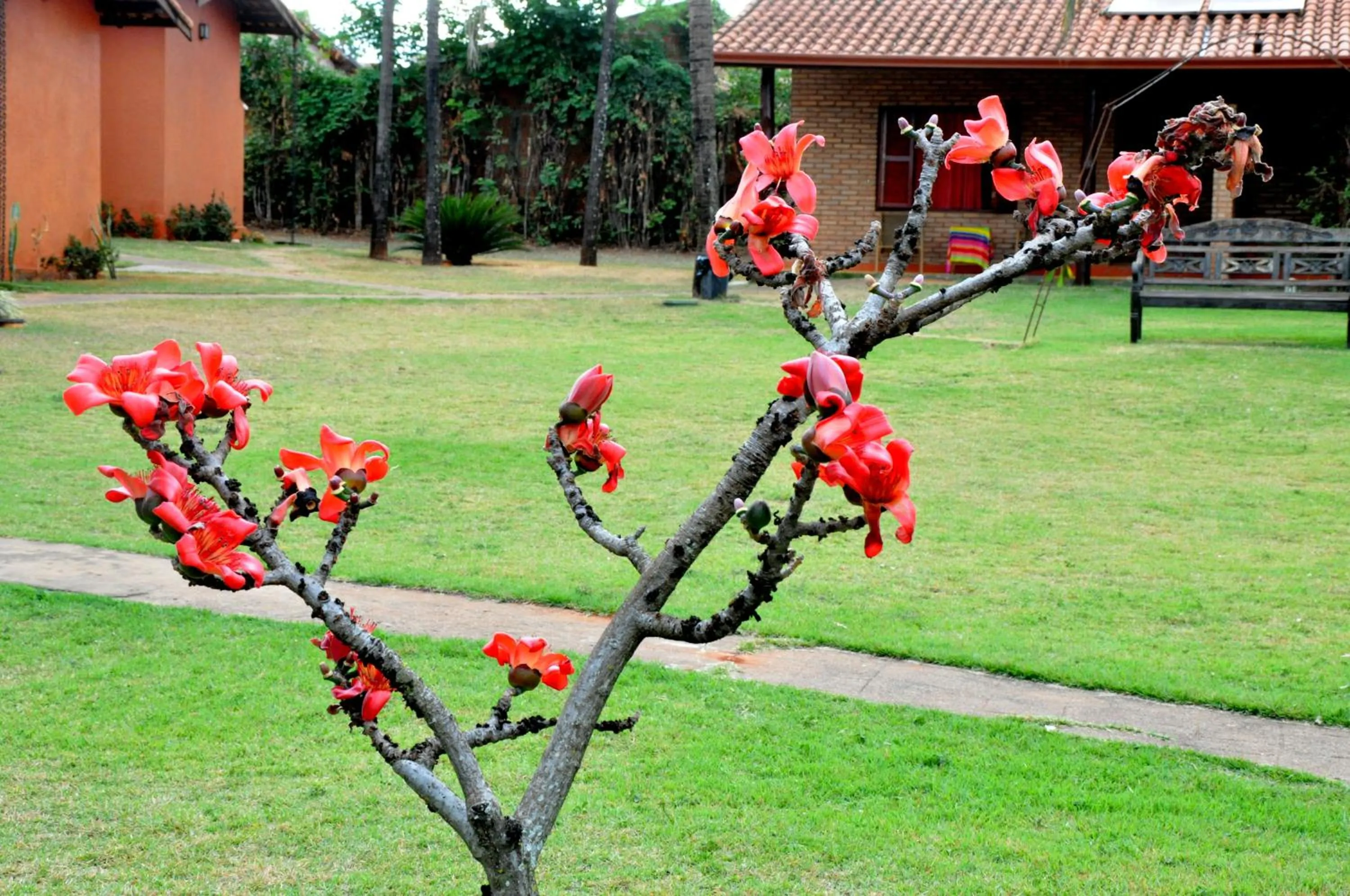 Garden in Pousada Beco da Lua