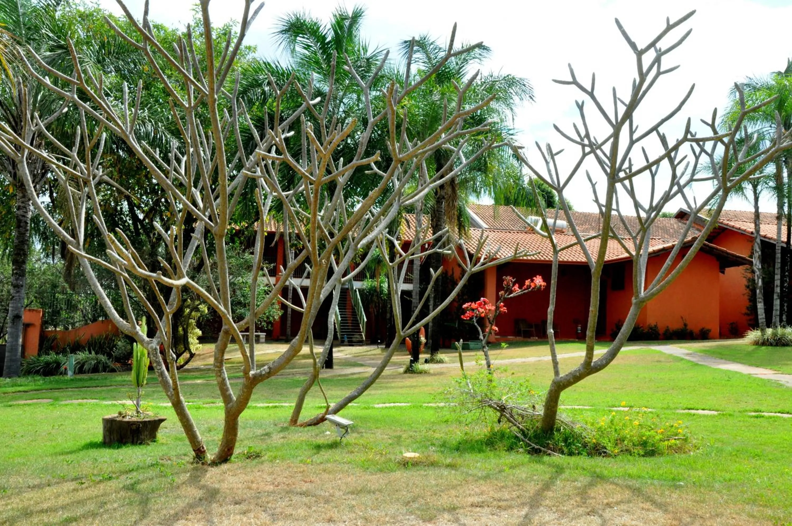 Garden in Pousada Beco da Lua