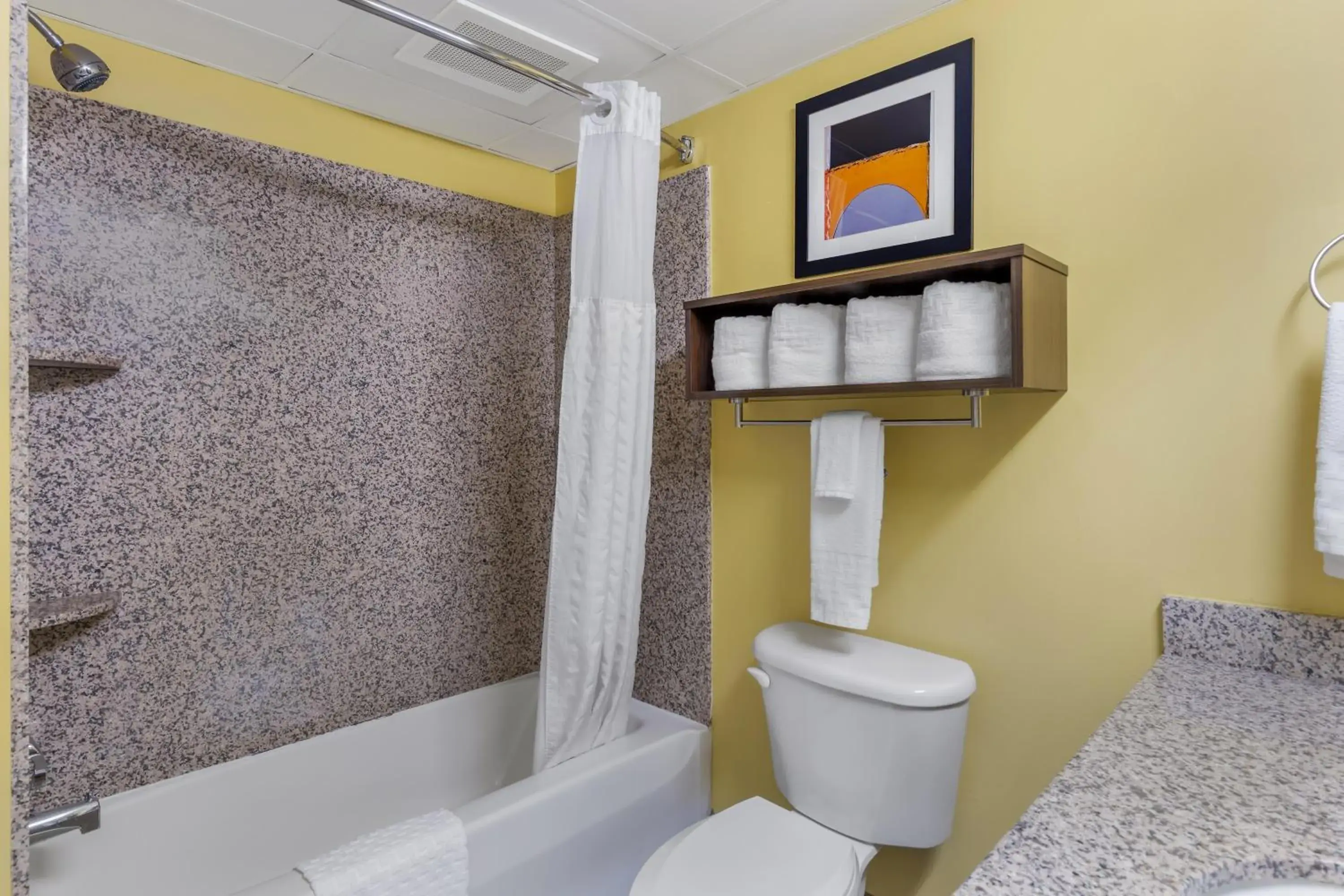 Bathroom in Best Western Plus Suites Greenville Bathroom in Best Western Plus Suites Greenville