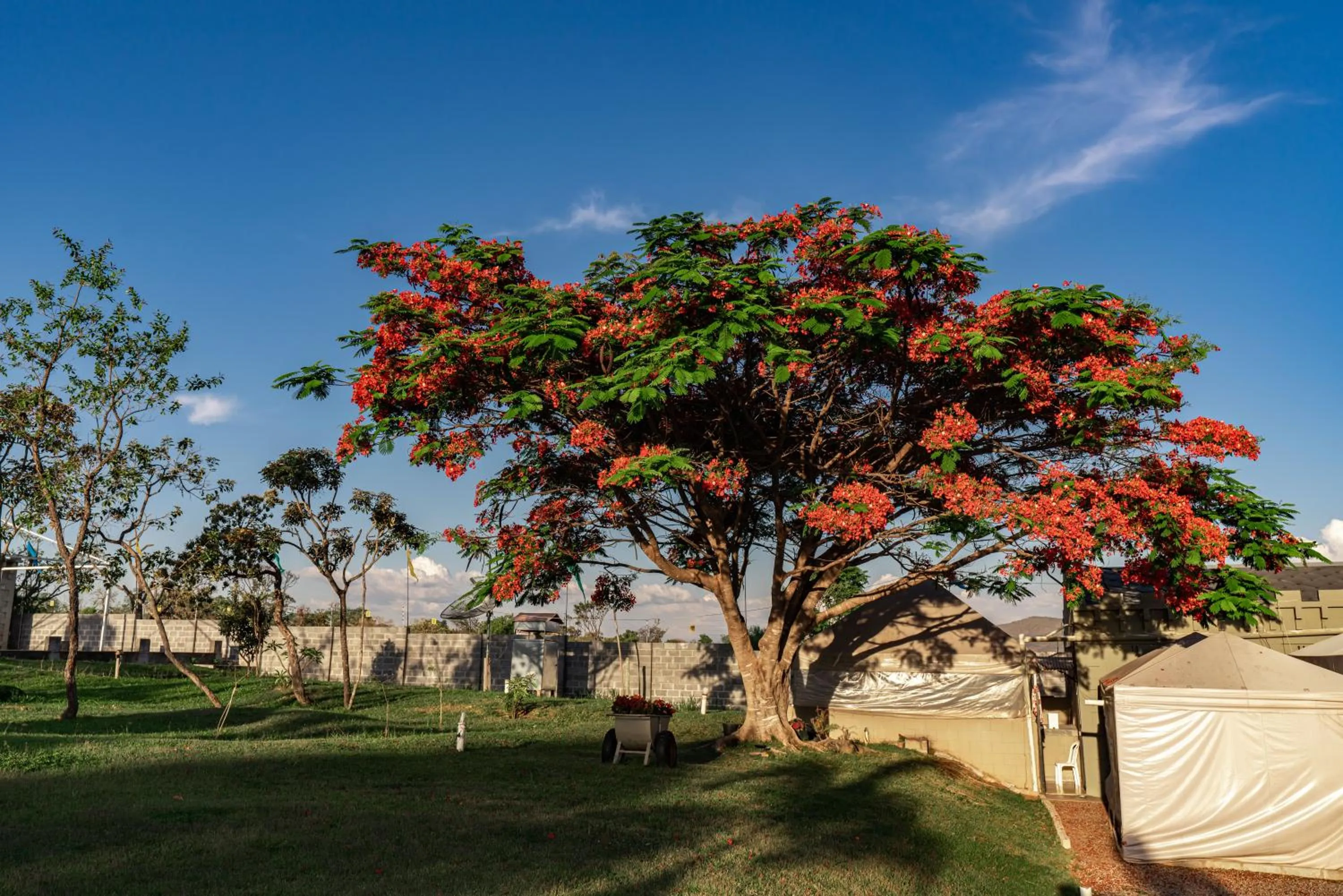 Garden in Pousada Camelot Inn