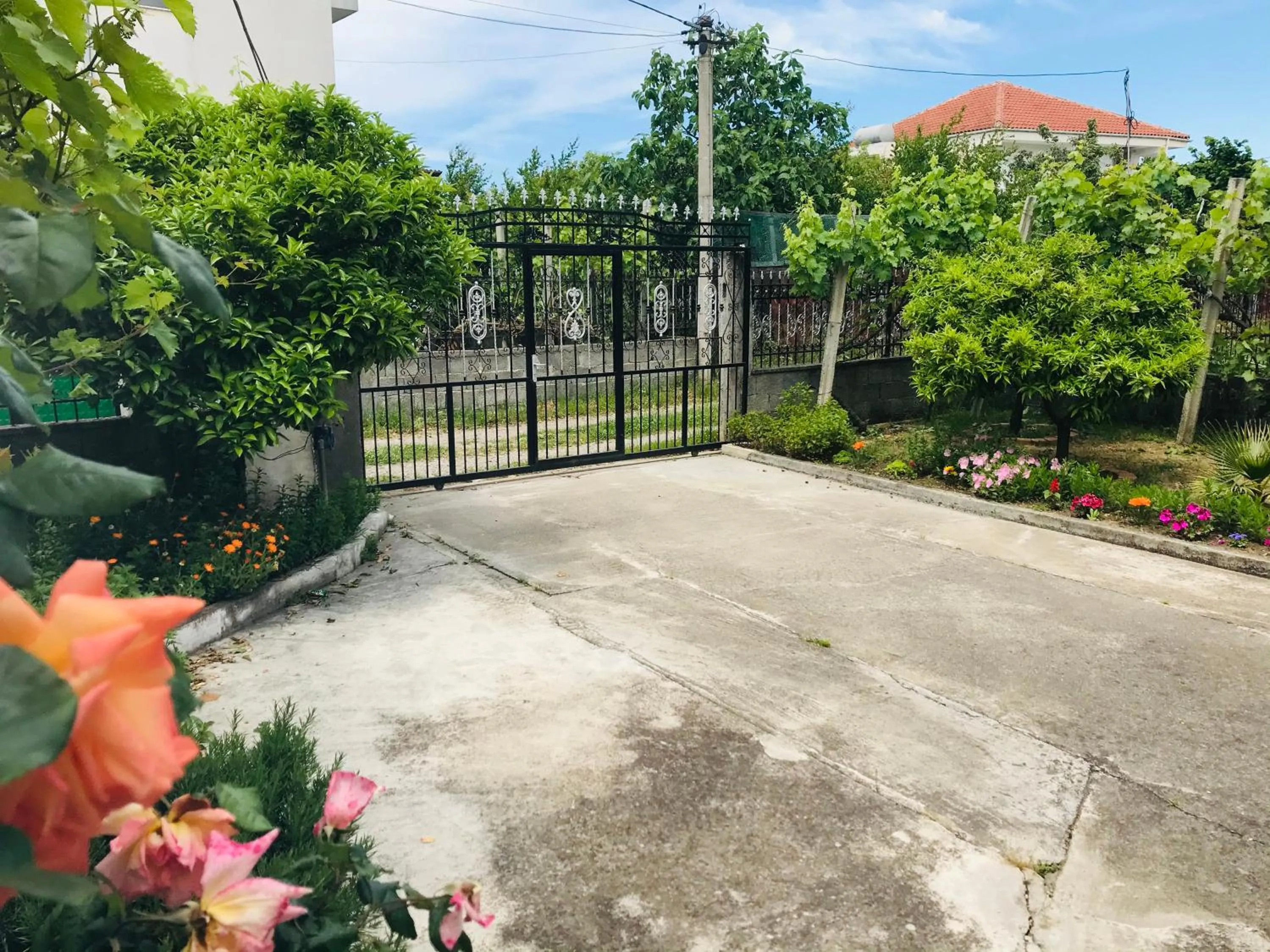 Garden in Villa Ajla