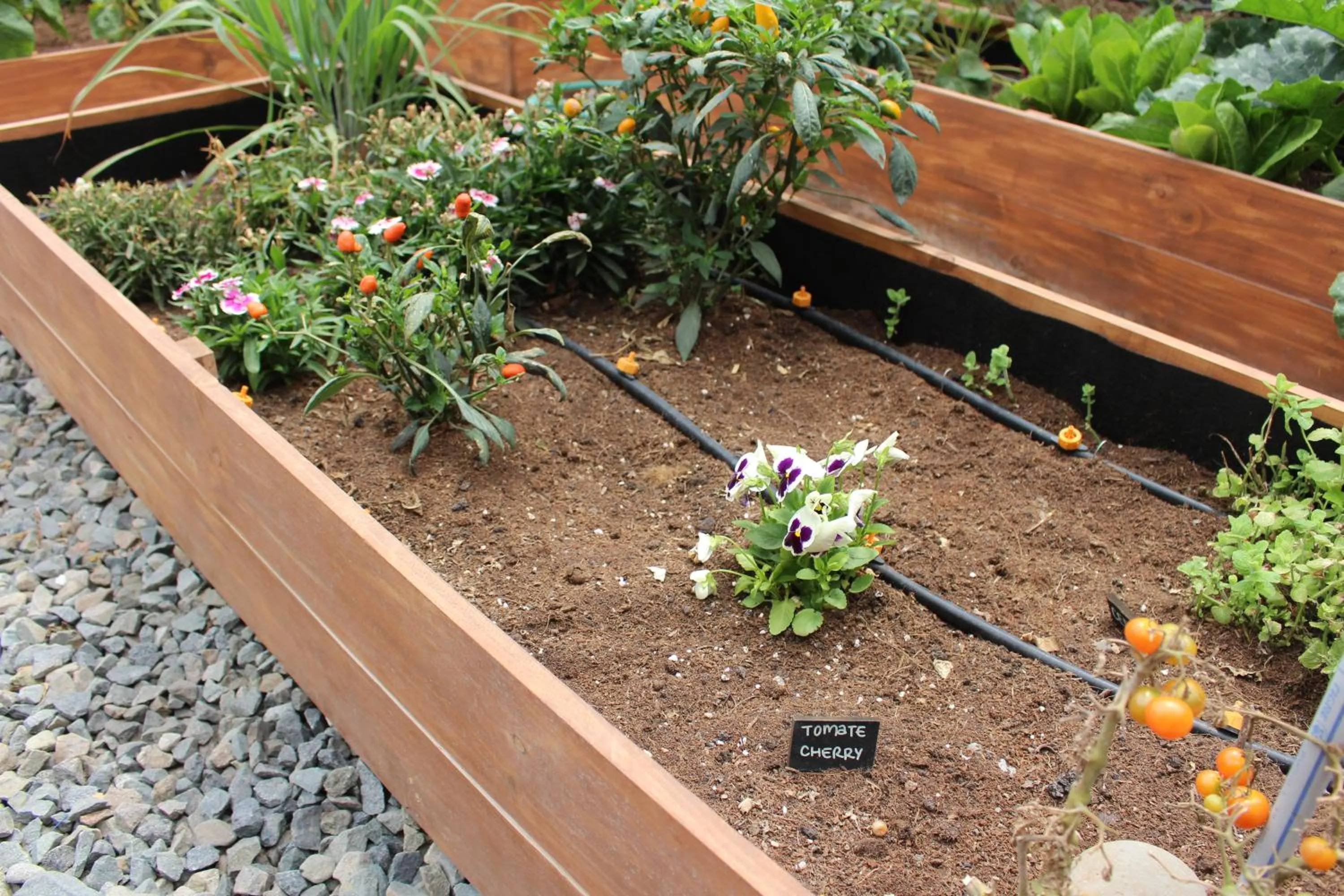 Garden in Palmetto Hotel Business San Borja