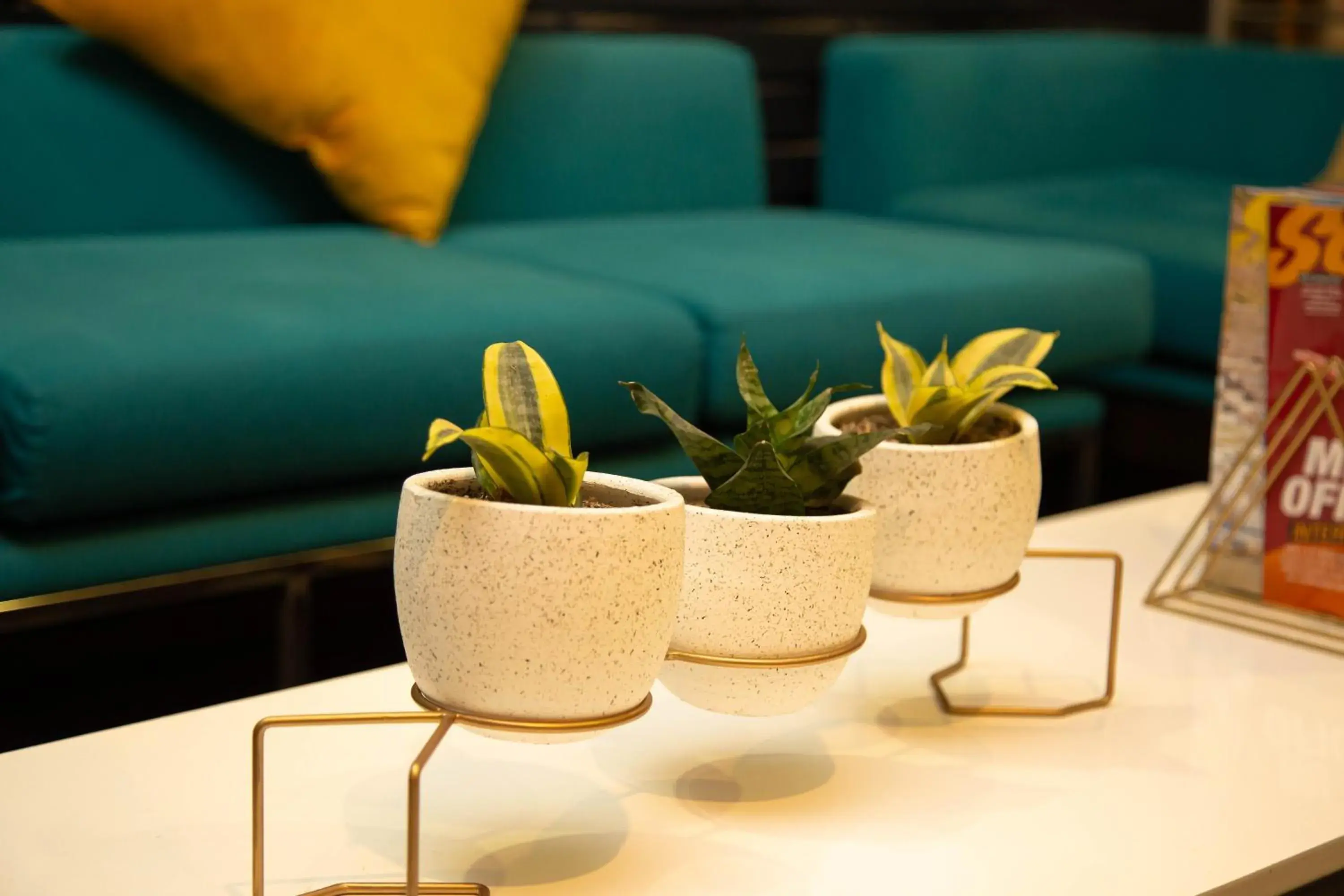 Lobby or reception in Palmetto Hotel Business San Borja Lobby or reception in Palmetto Hotel Business San Borja