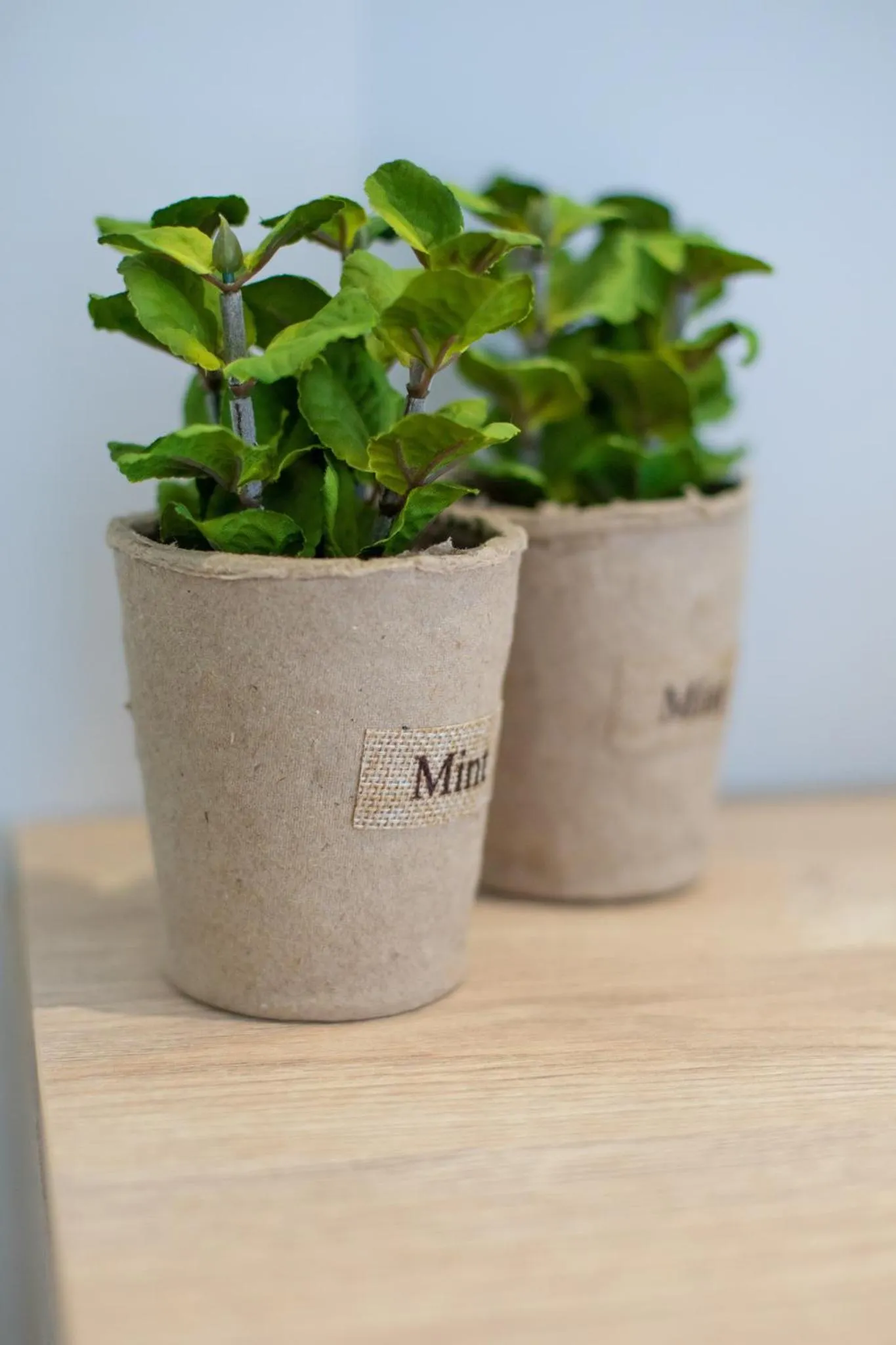 Decorative detail in Akalli Studios