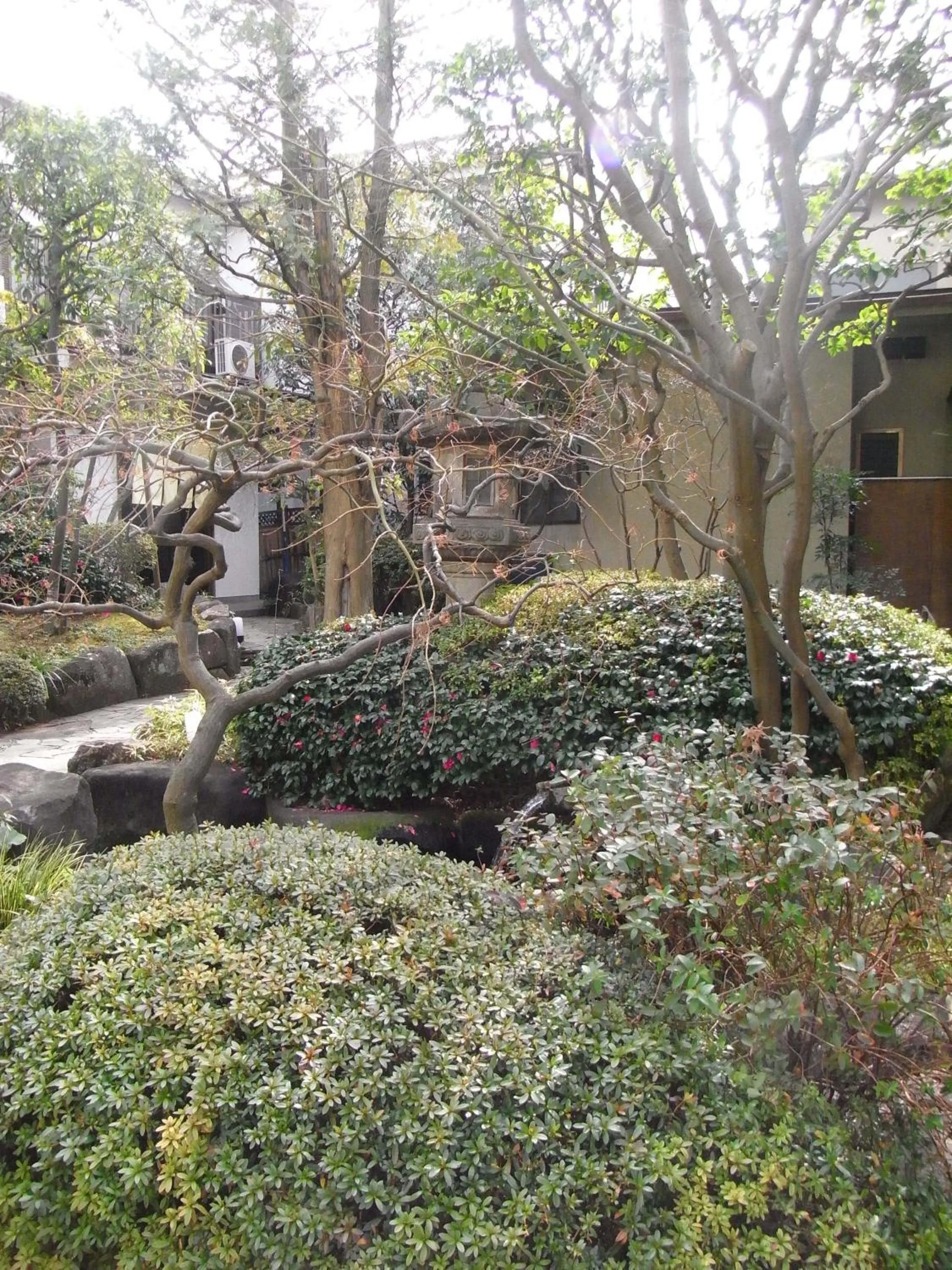 Garden in Ryokan Matsushima