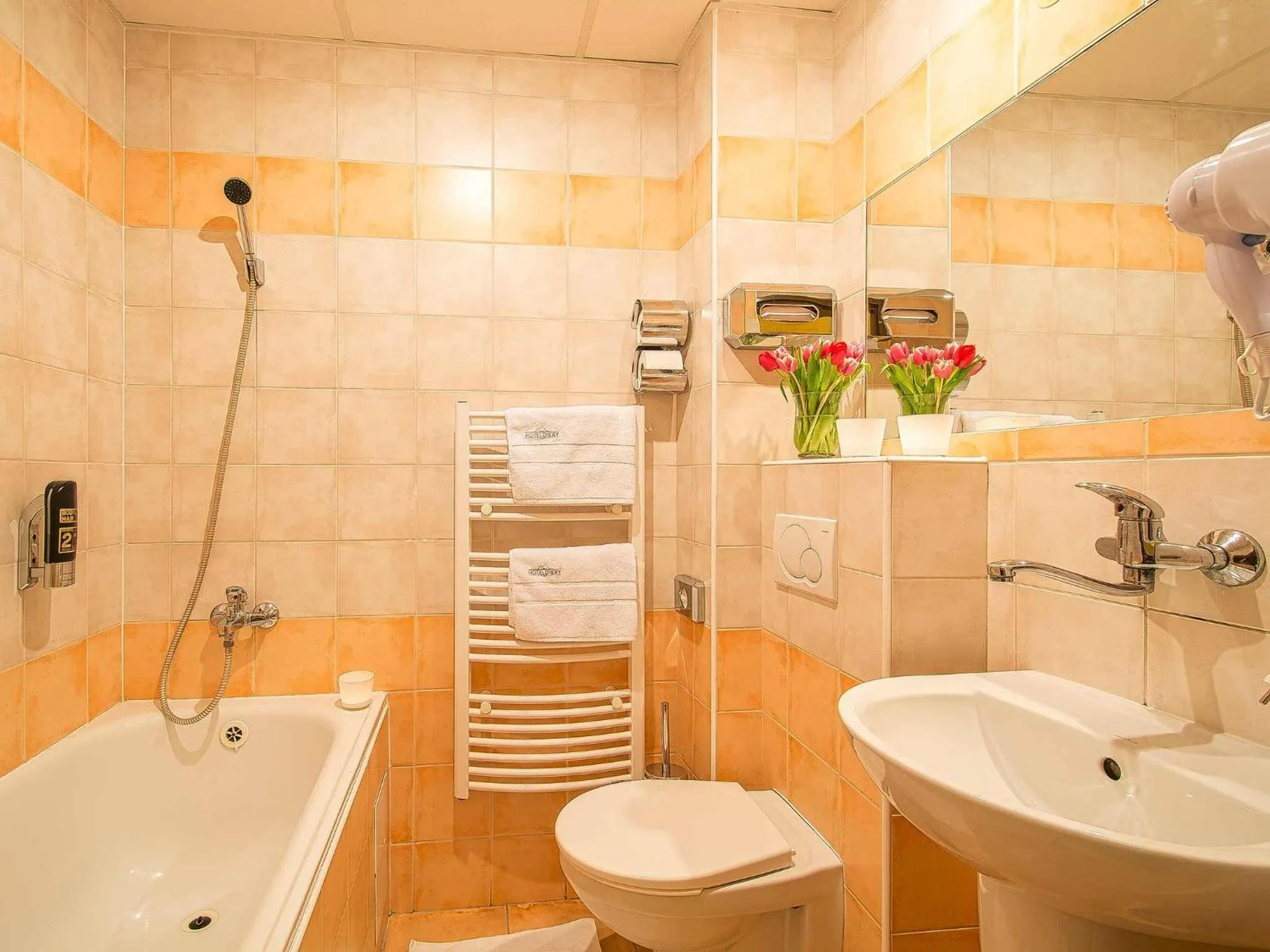 Toilet in Hotel Diery