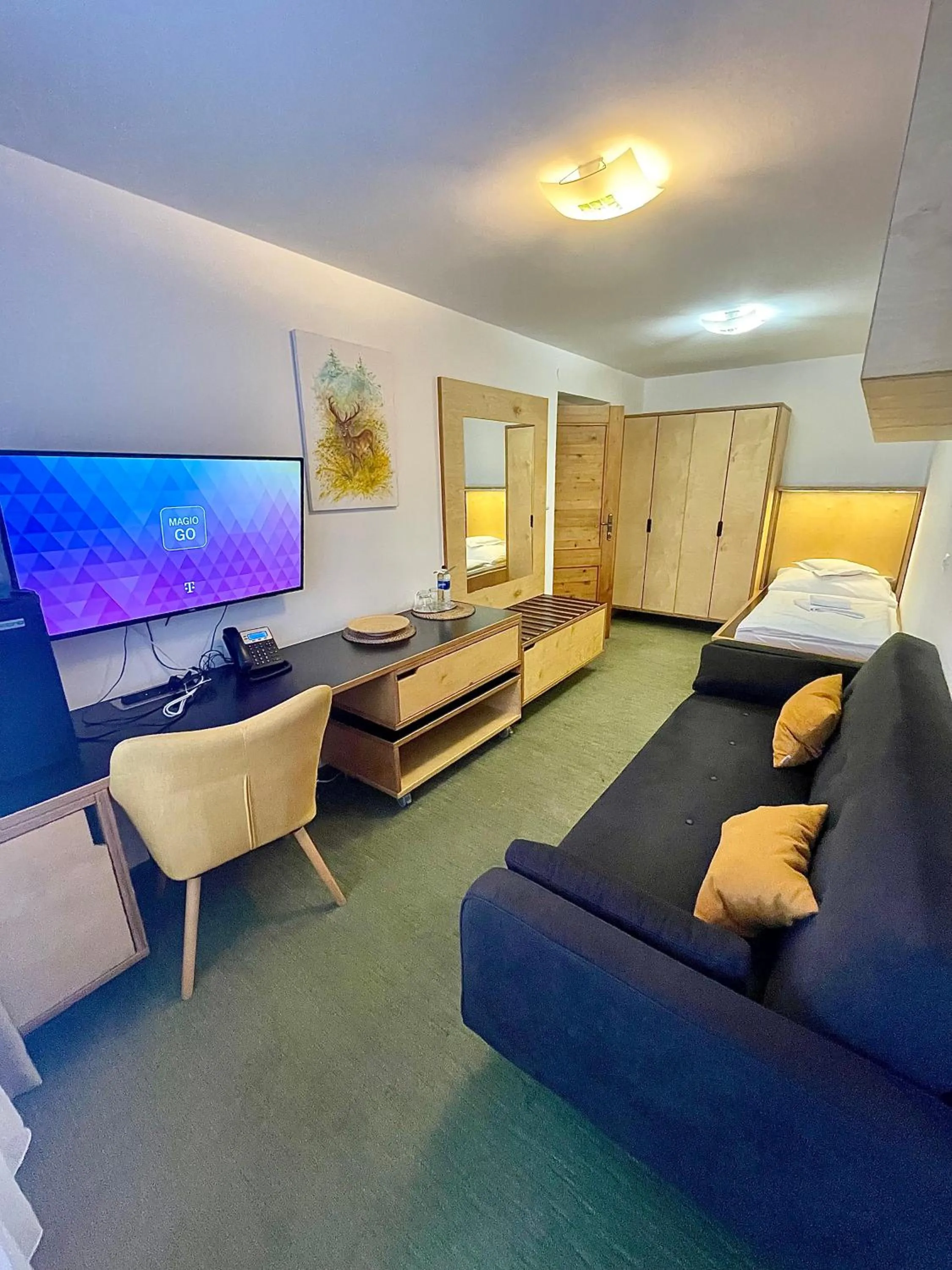 TV and multimedia in Hotel Diery