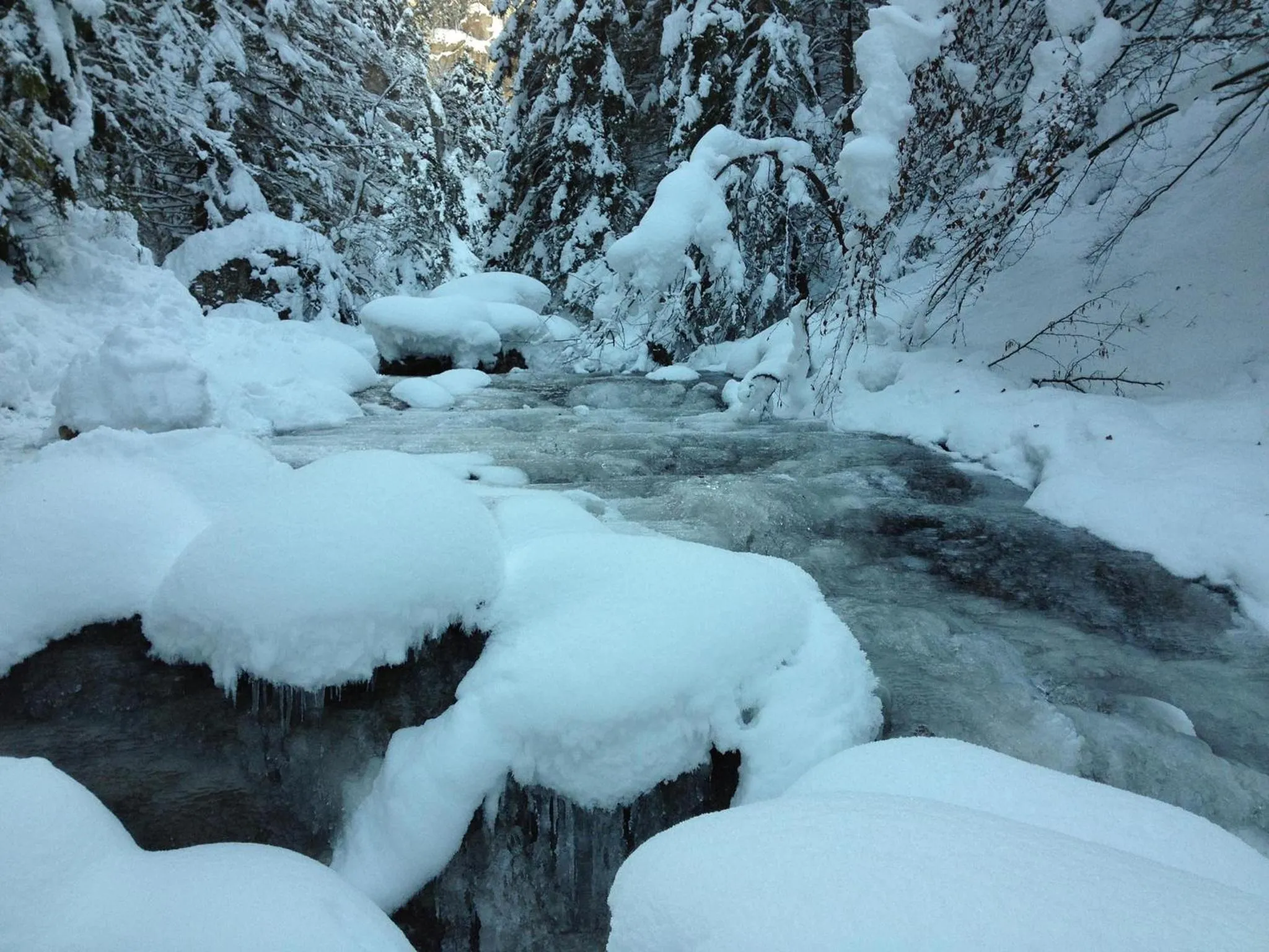 Natural landscape in Hotel Diery