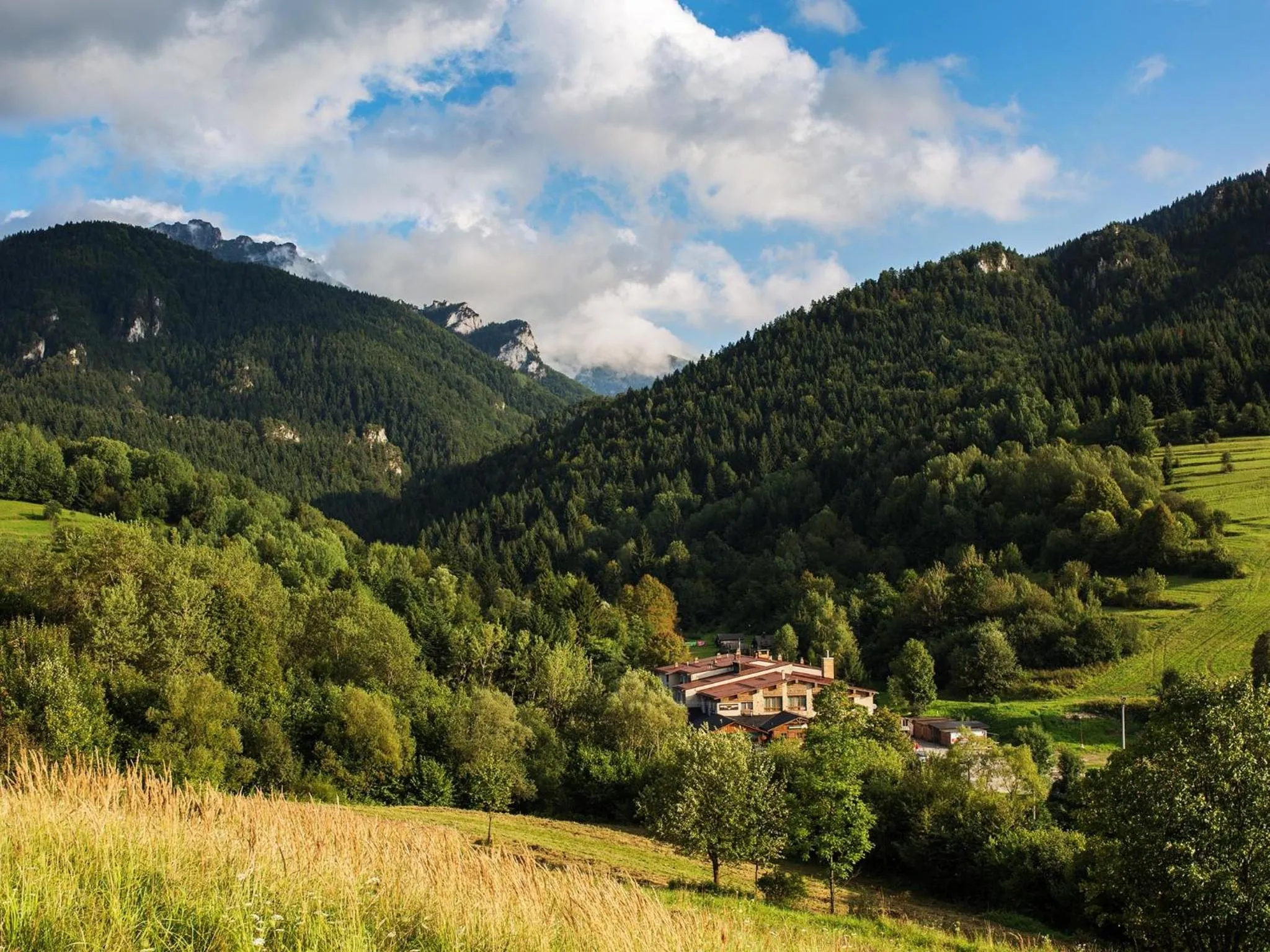 Summer in Hotel Diery