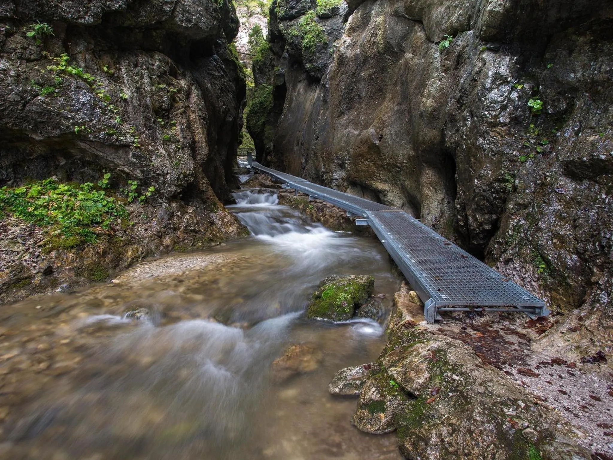 Summer in Hotel Diery