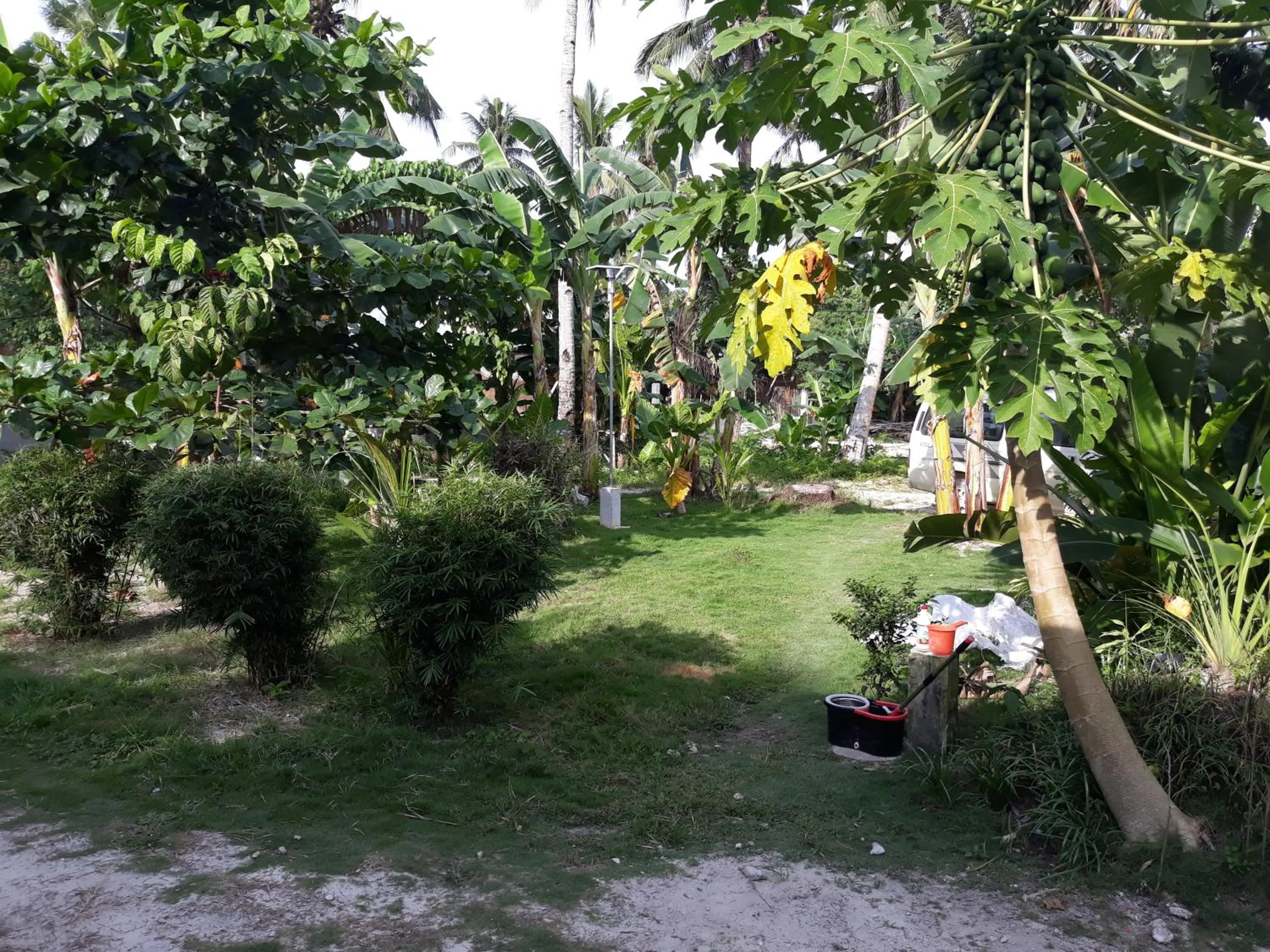 Garden in Gardenview Homestay Siargao
