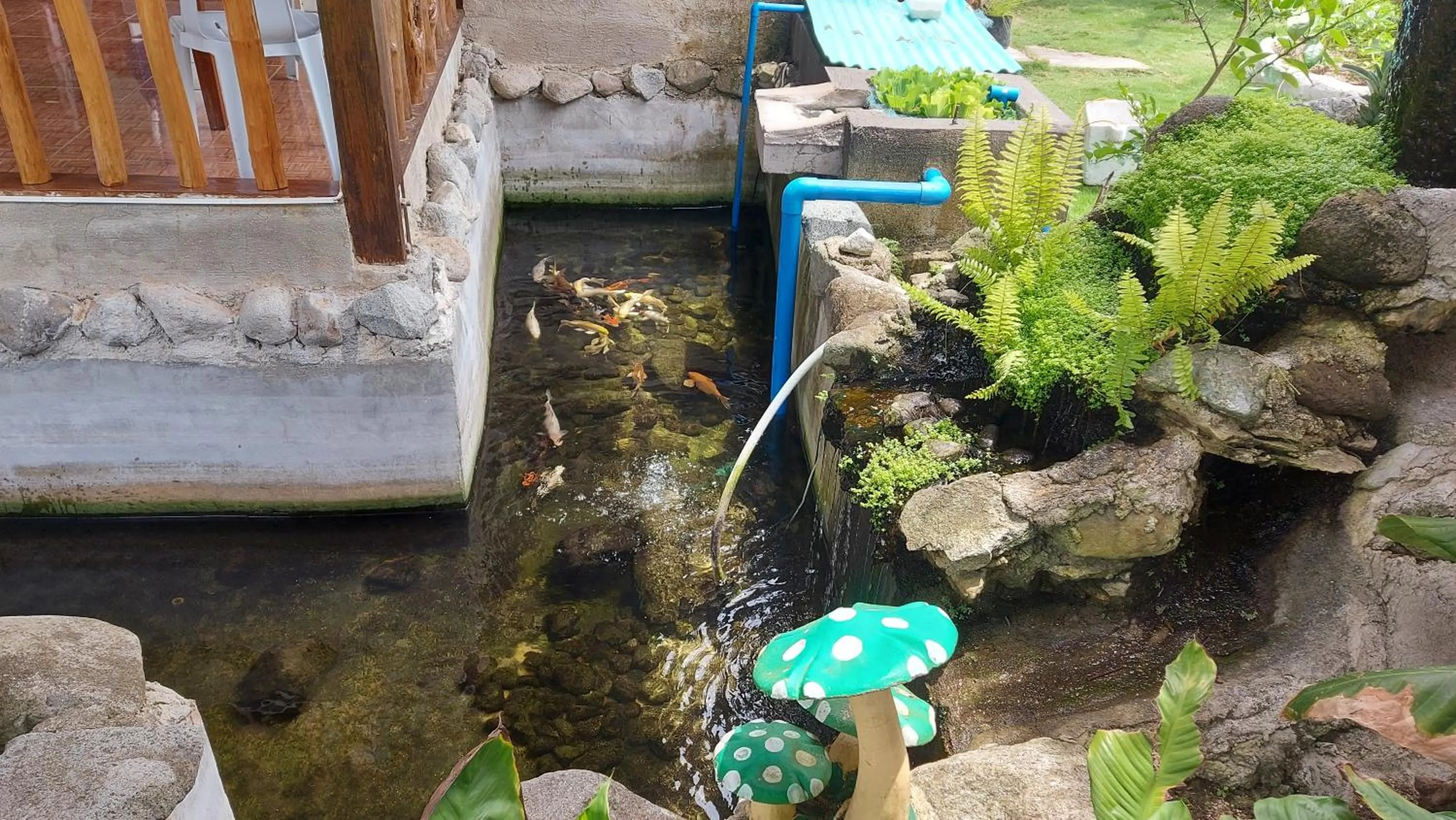 Property building in Gardenview Homestay Siargao