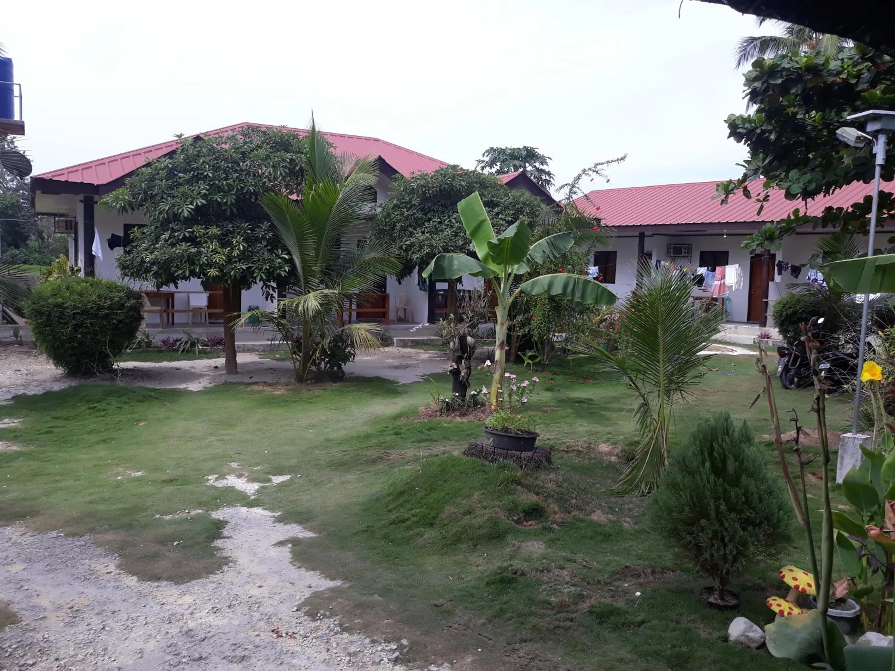 Garden in Gardenview Homestay Siargao