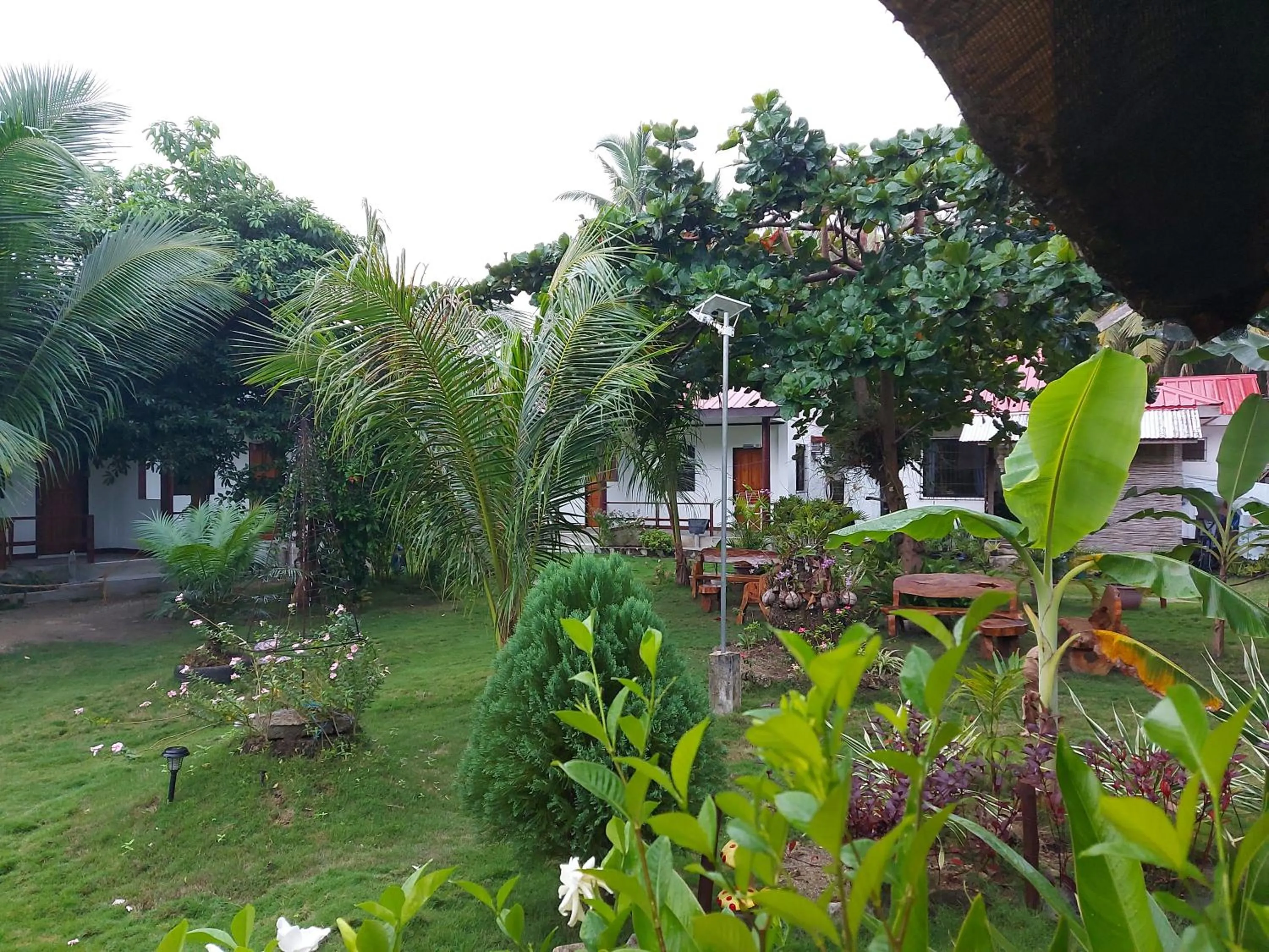 Garden in Gardenview Homestay Siargao