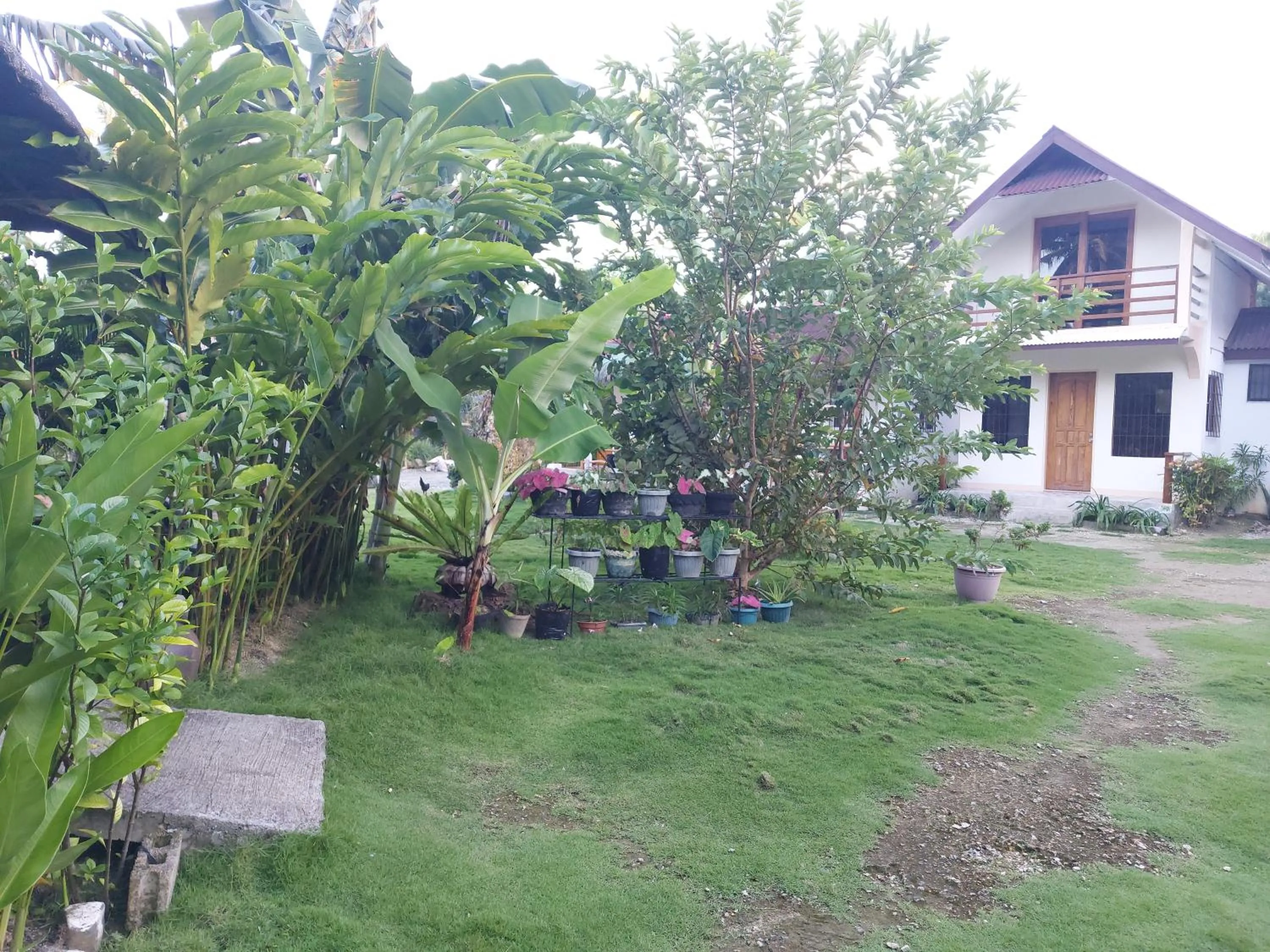 Garden in Gardenview Homestay Siargao