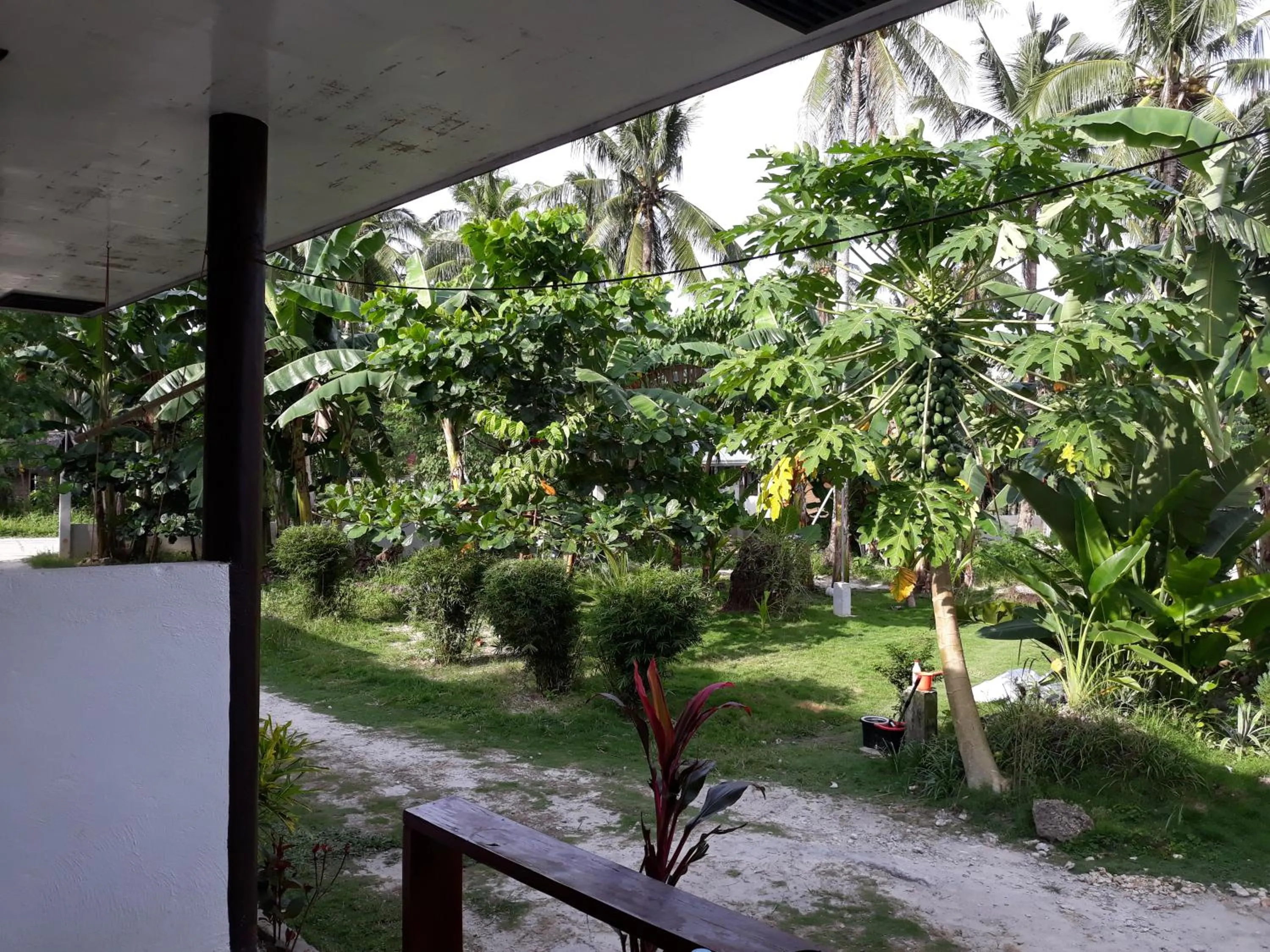 Balcony/Terrace in Gardenview Homestay Siargao