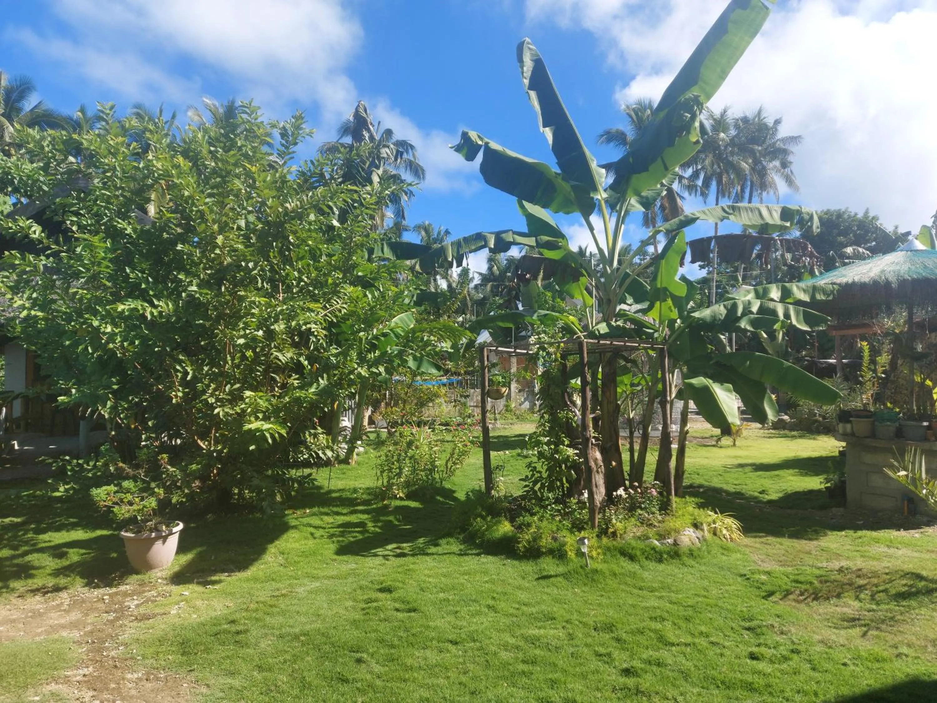 Garden in Gardenview Homestay Siargao