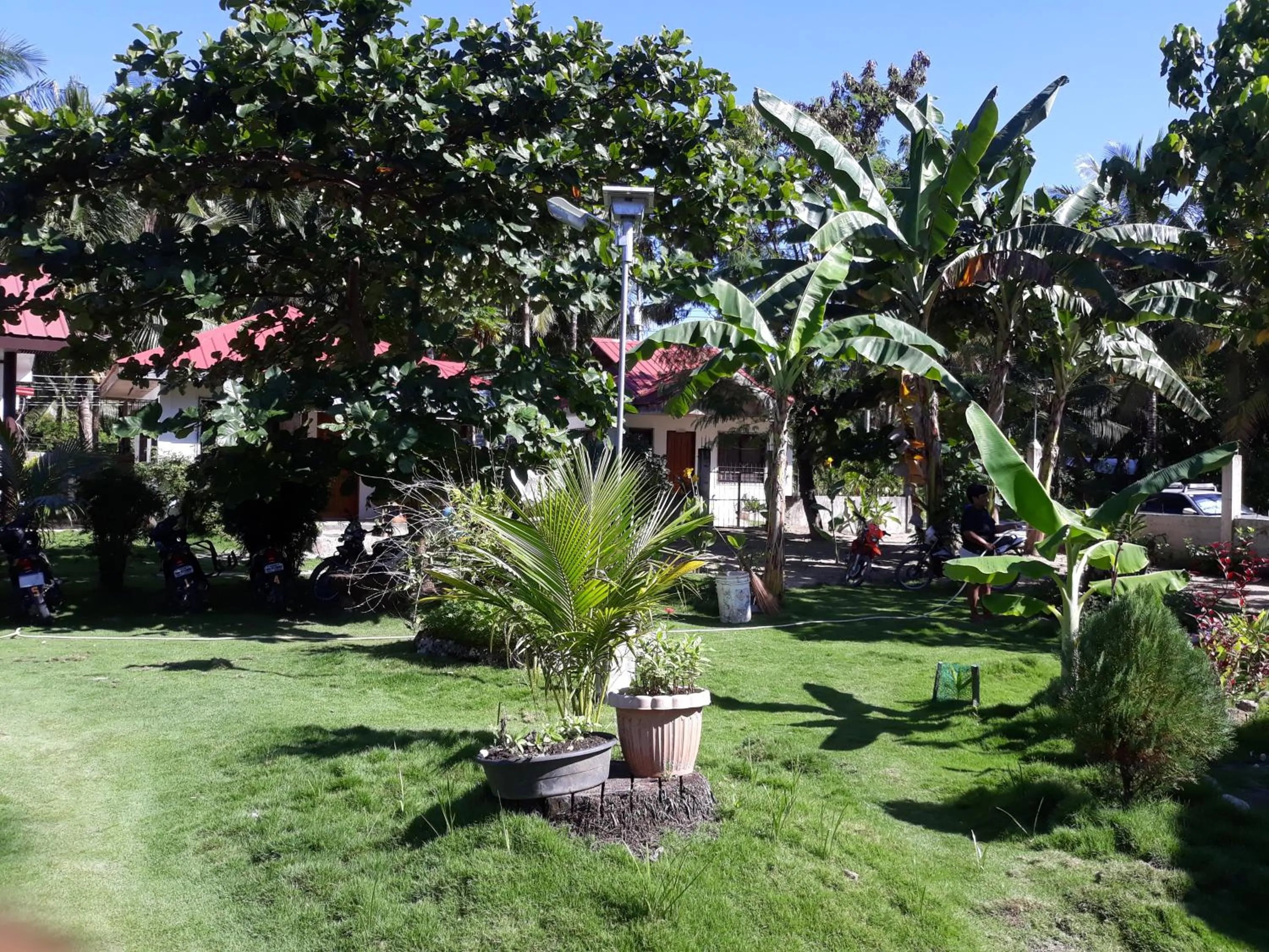 Garden in Gardenview Homestay Siargao