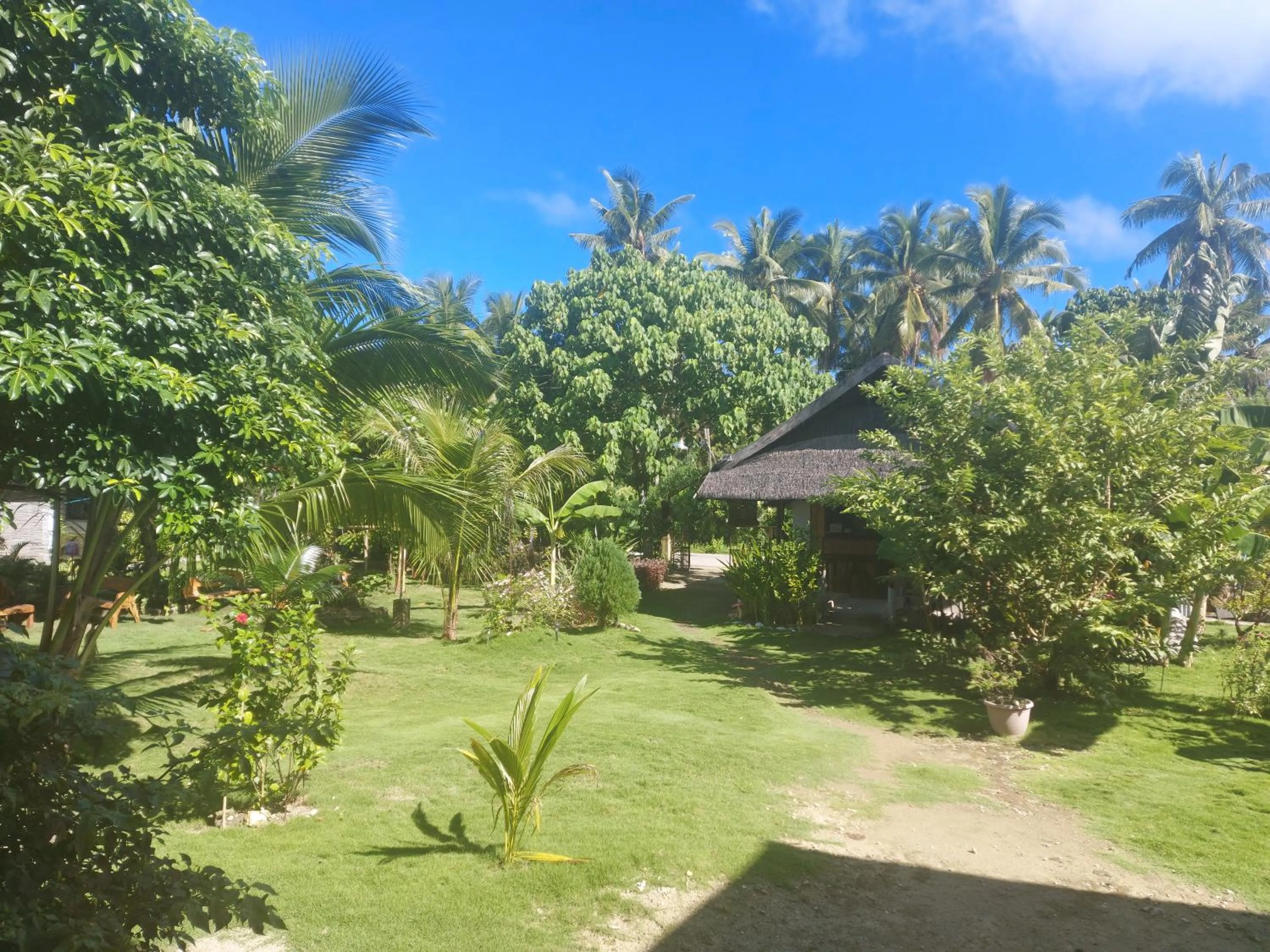 Garden in Gardenview Homestay Siargao