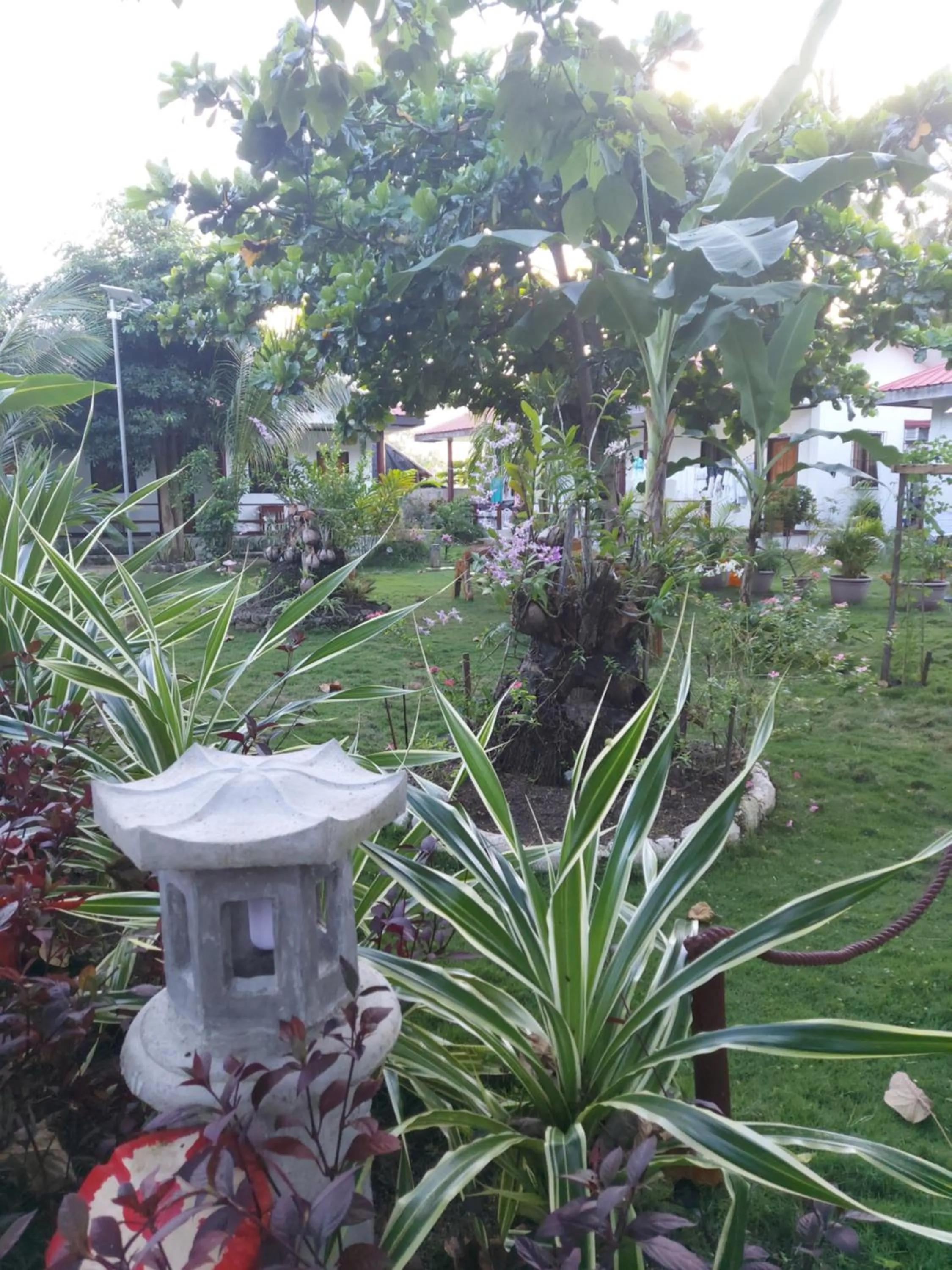 Garden in Gardenview Homestay Siargao