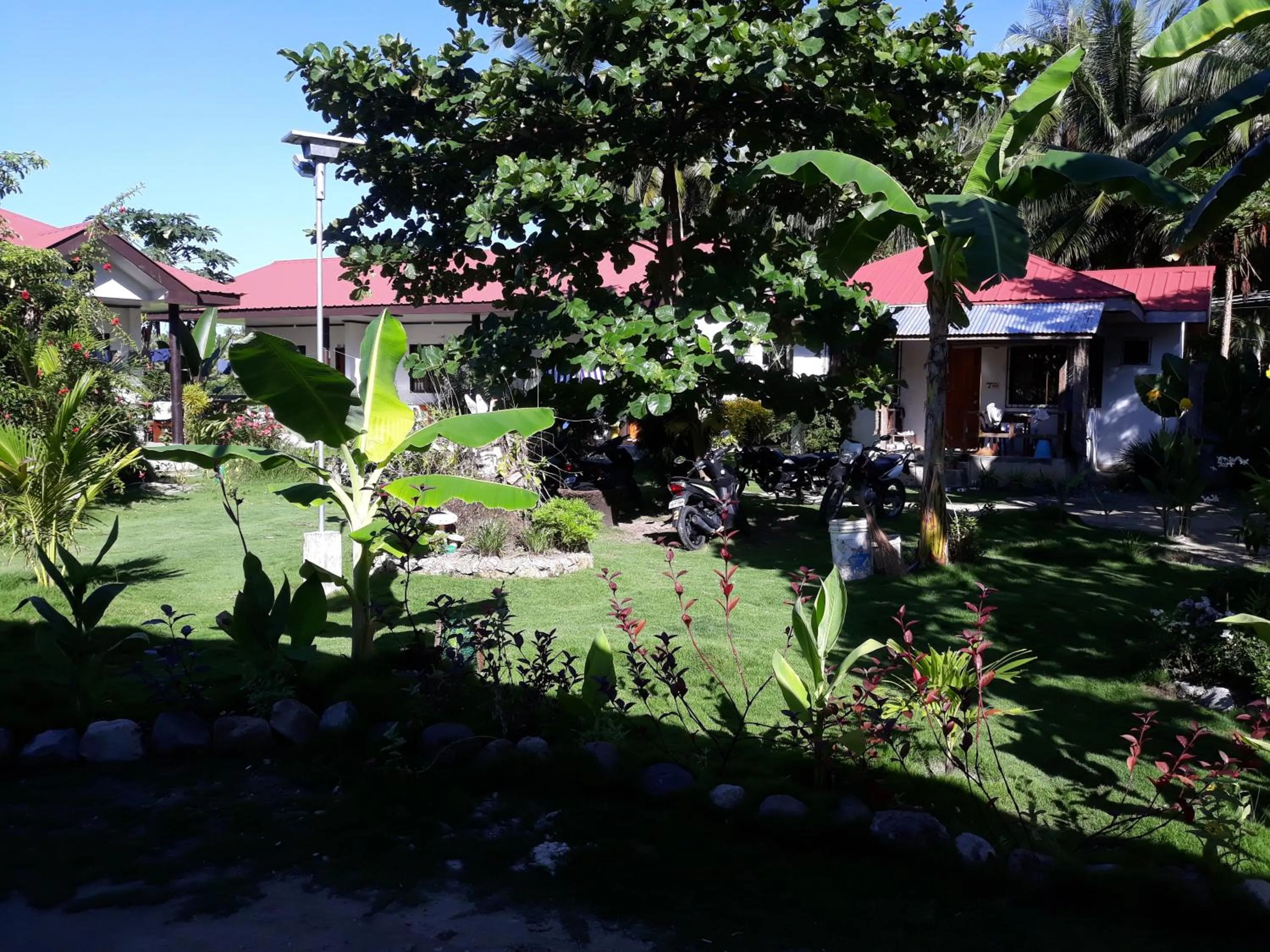 Garden in Gardenview Homestay Siargao