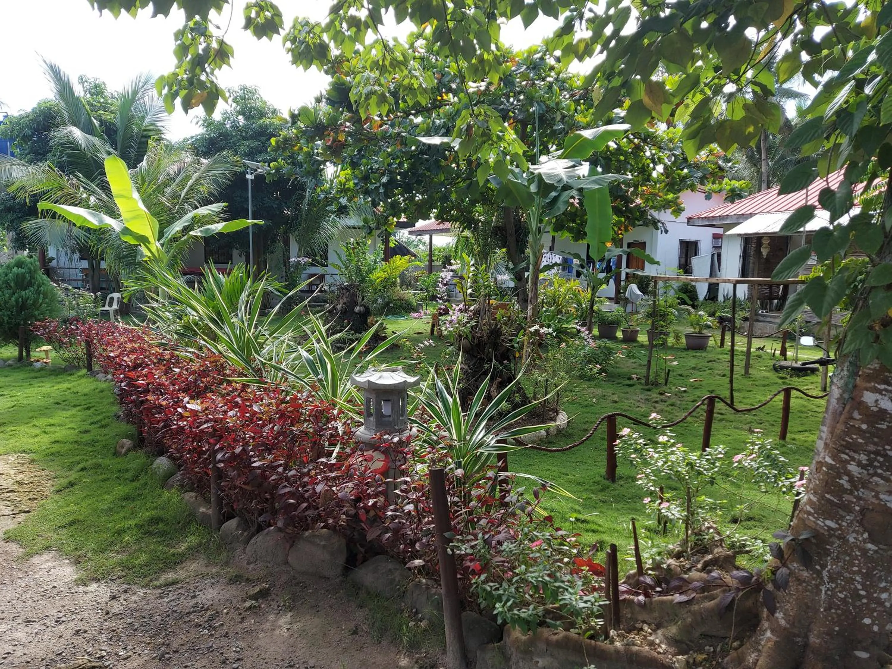 Garden in Gardenview Homestay Siargao