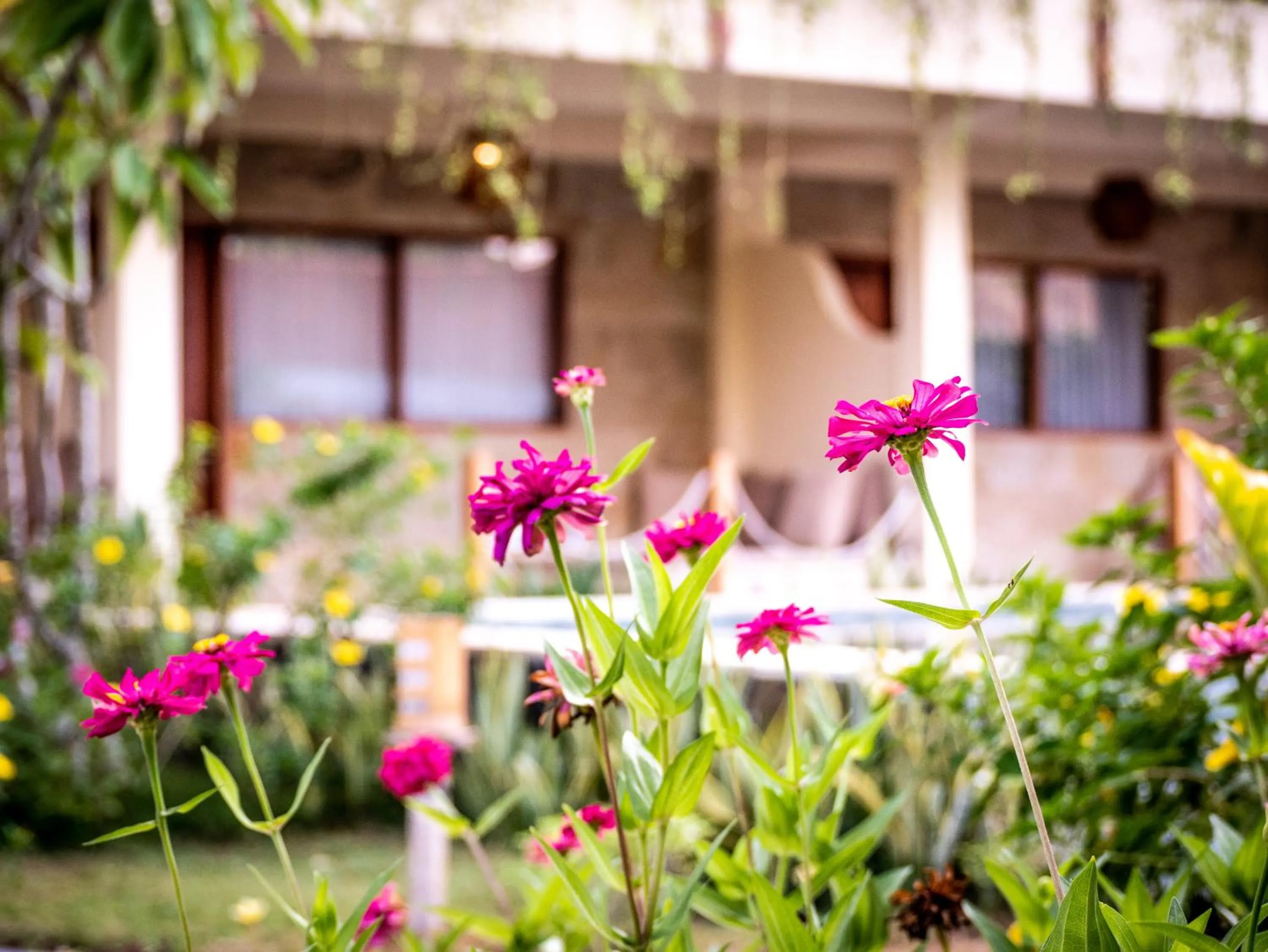 Patio in Mango Lodge