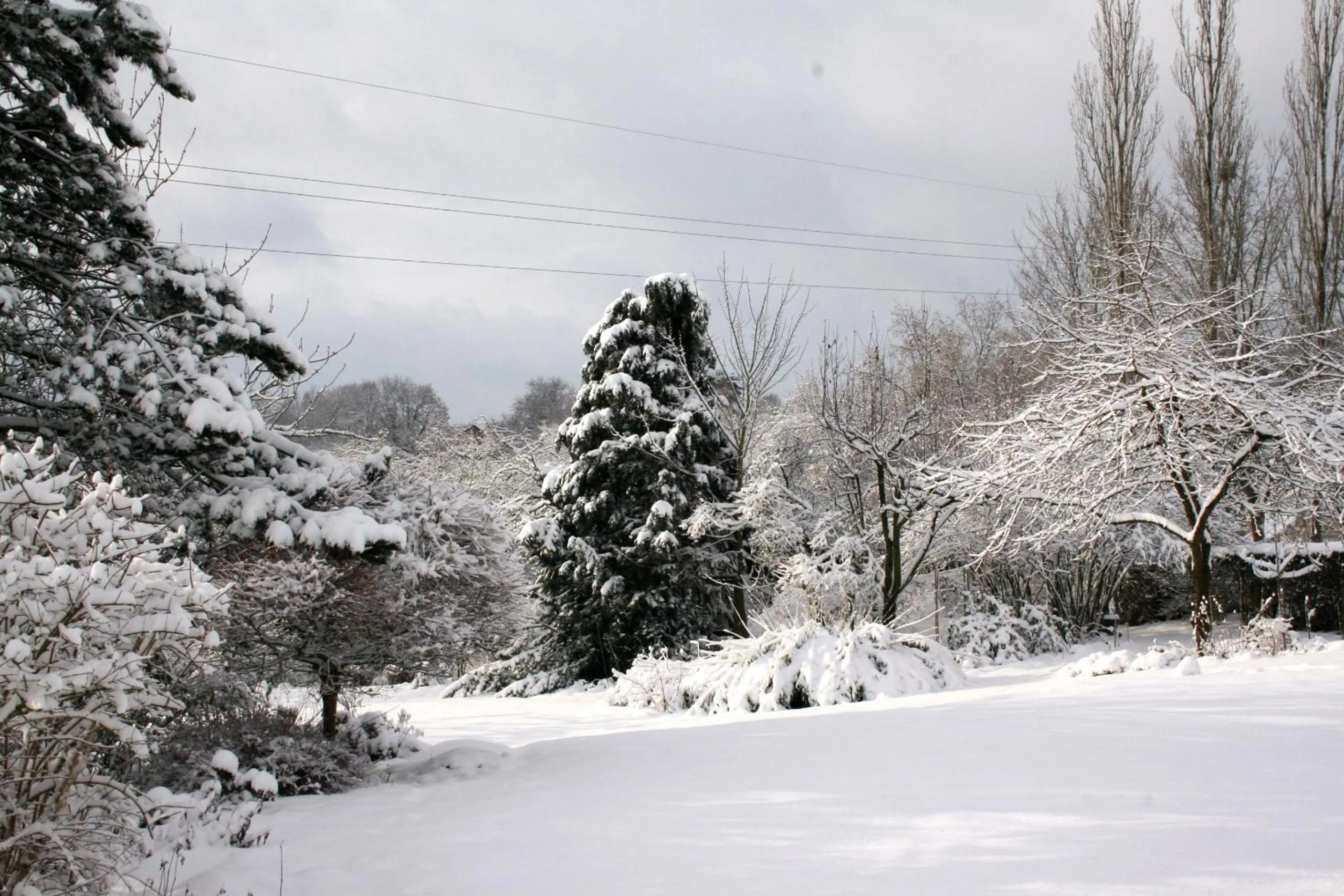 Garden in B&B Le Jardin d'Epicure