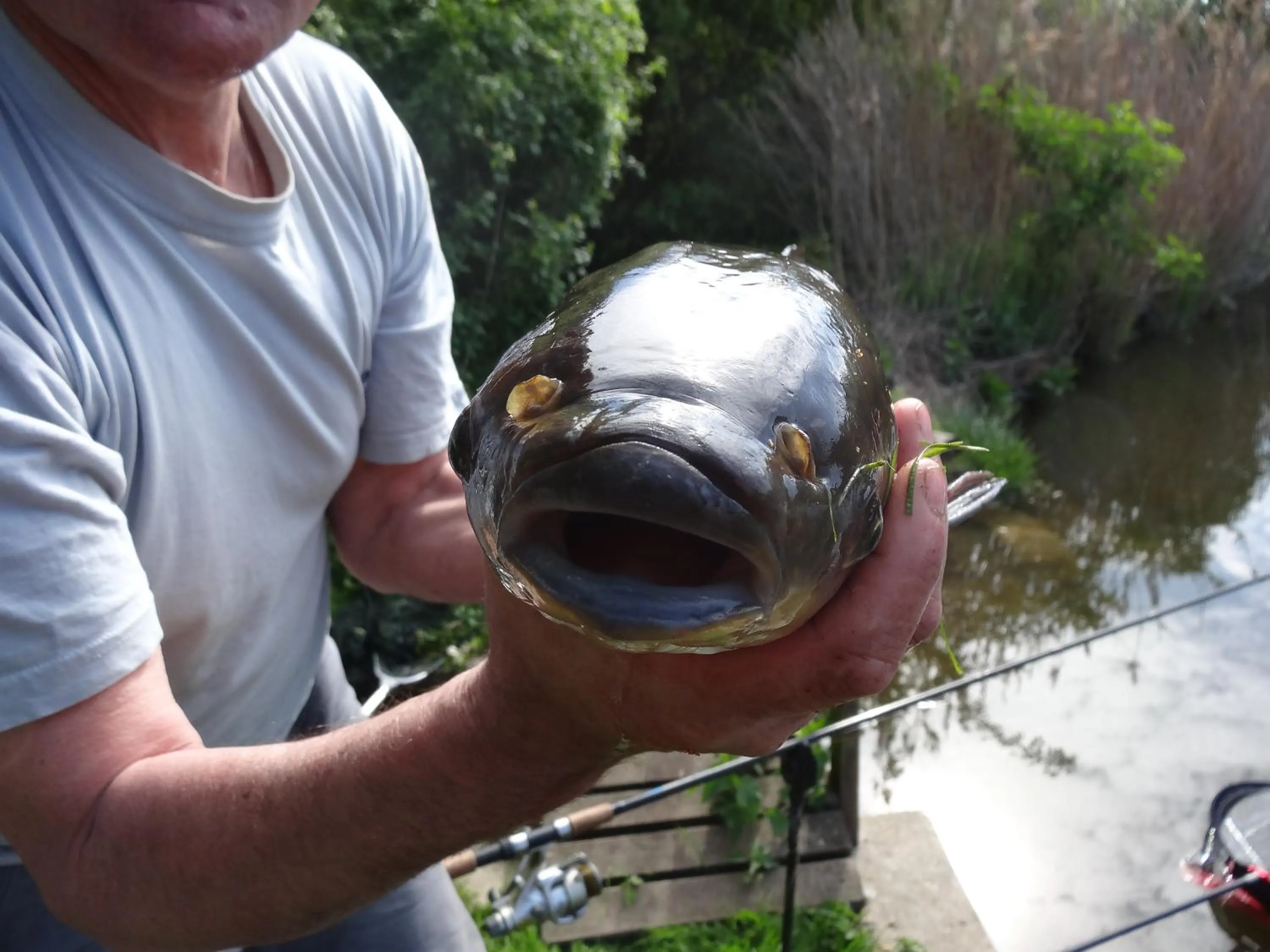 Fishing in Resort Svět