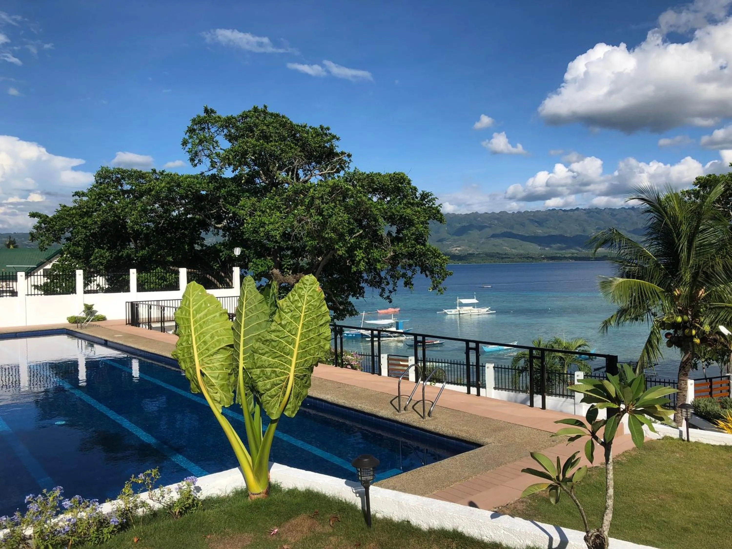 Swimming pool in Casa de Moalboal