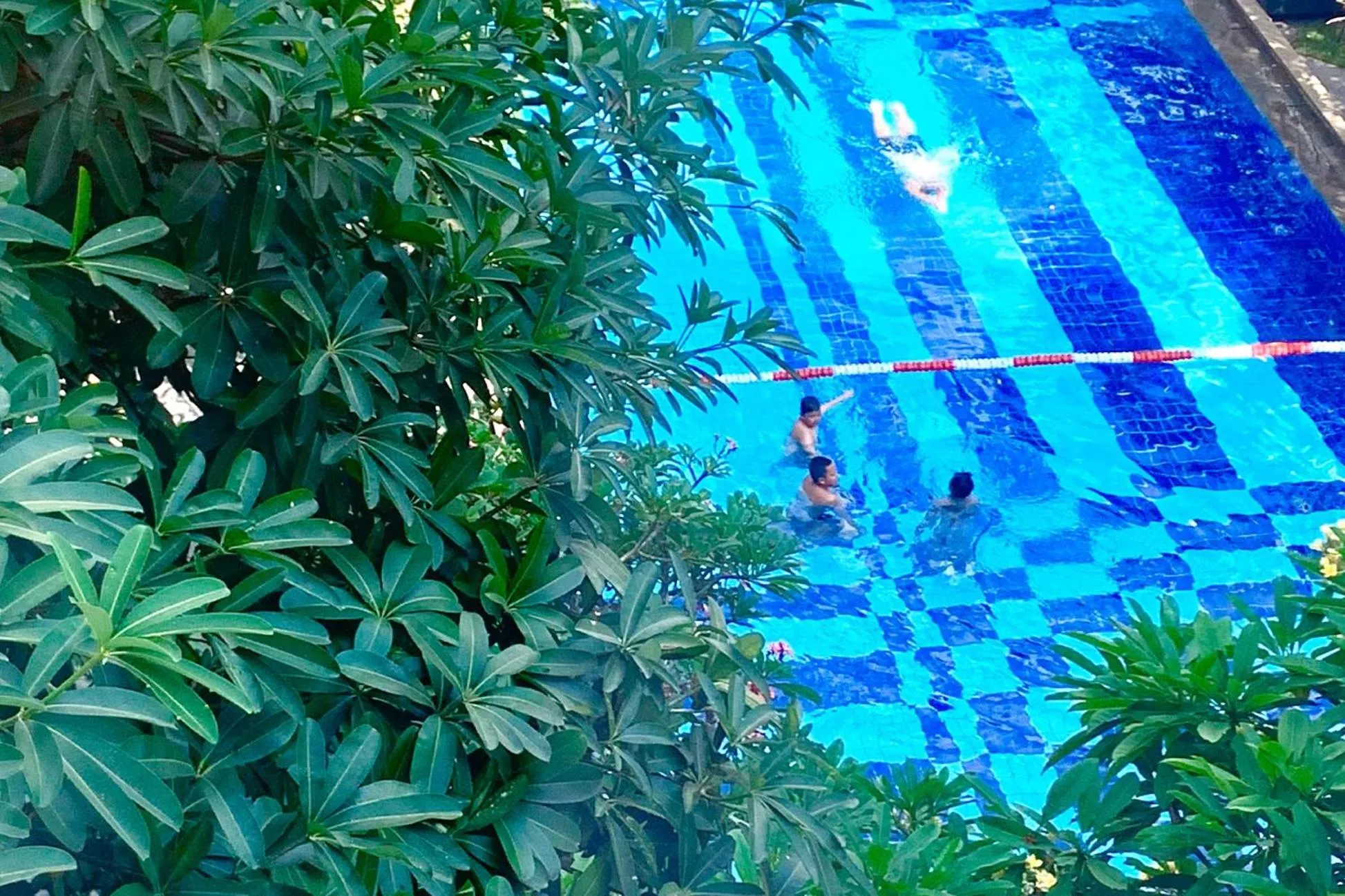 Swimming pool in The Victoria Hotel Yogyakarta