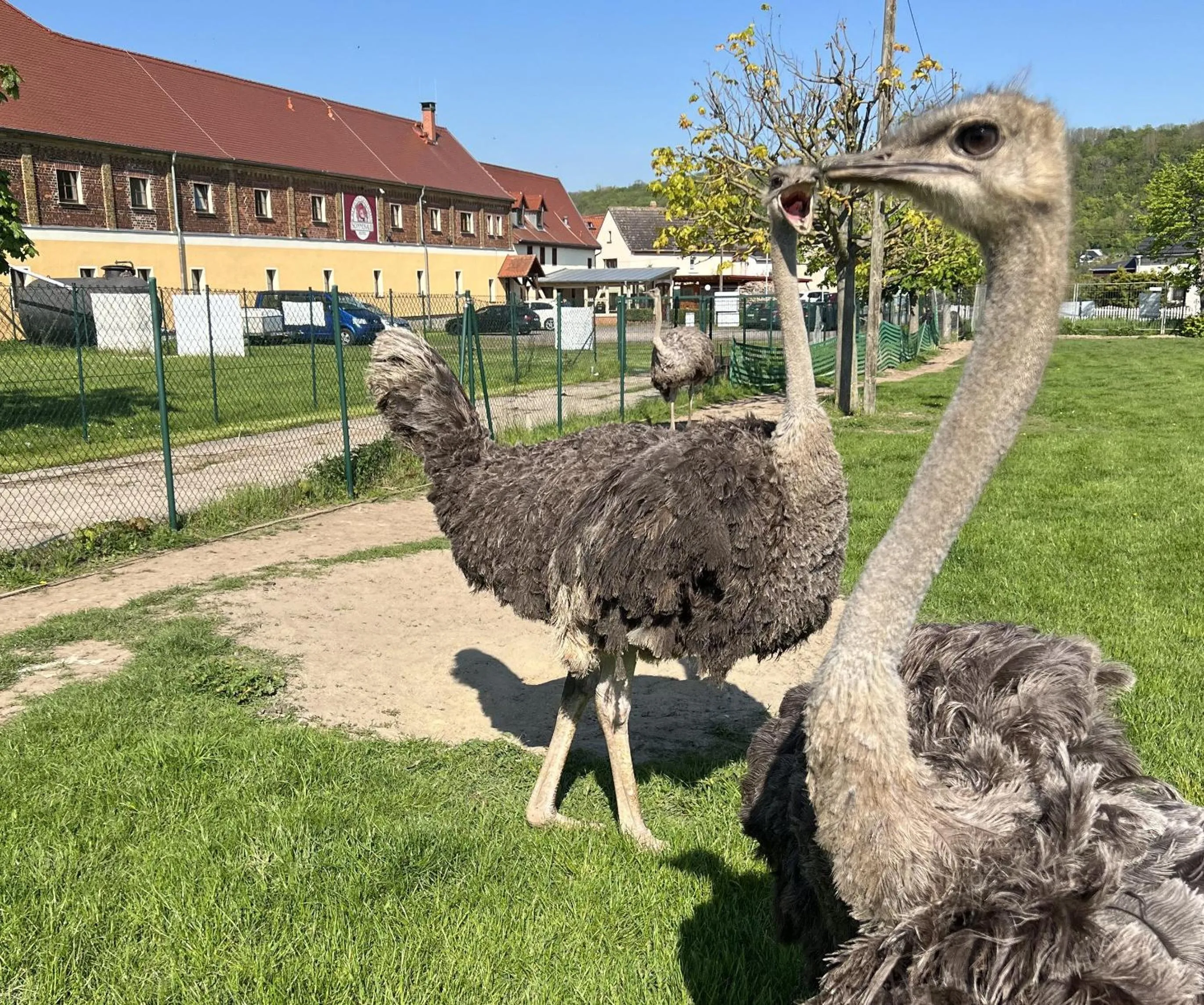 Activities in Hotel Sonnekalb