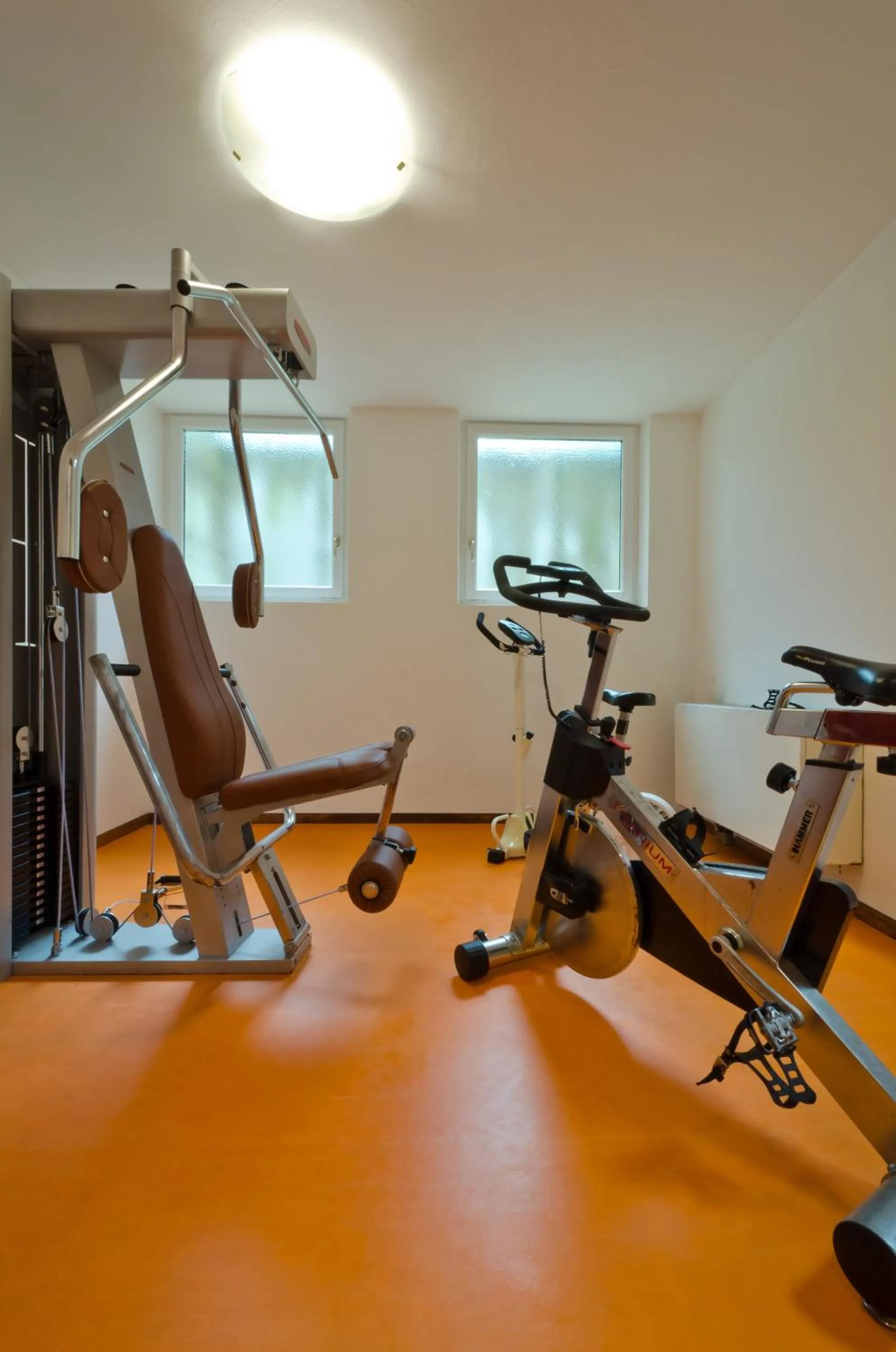 Fitness centre/facilities in Chalet Pineta relax location