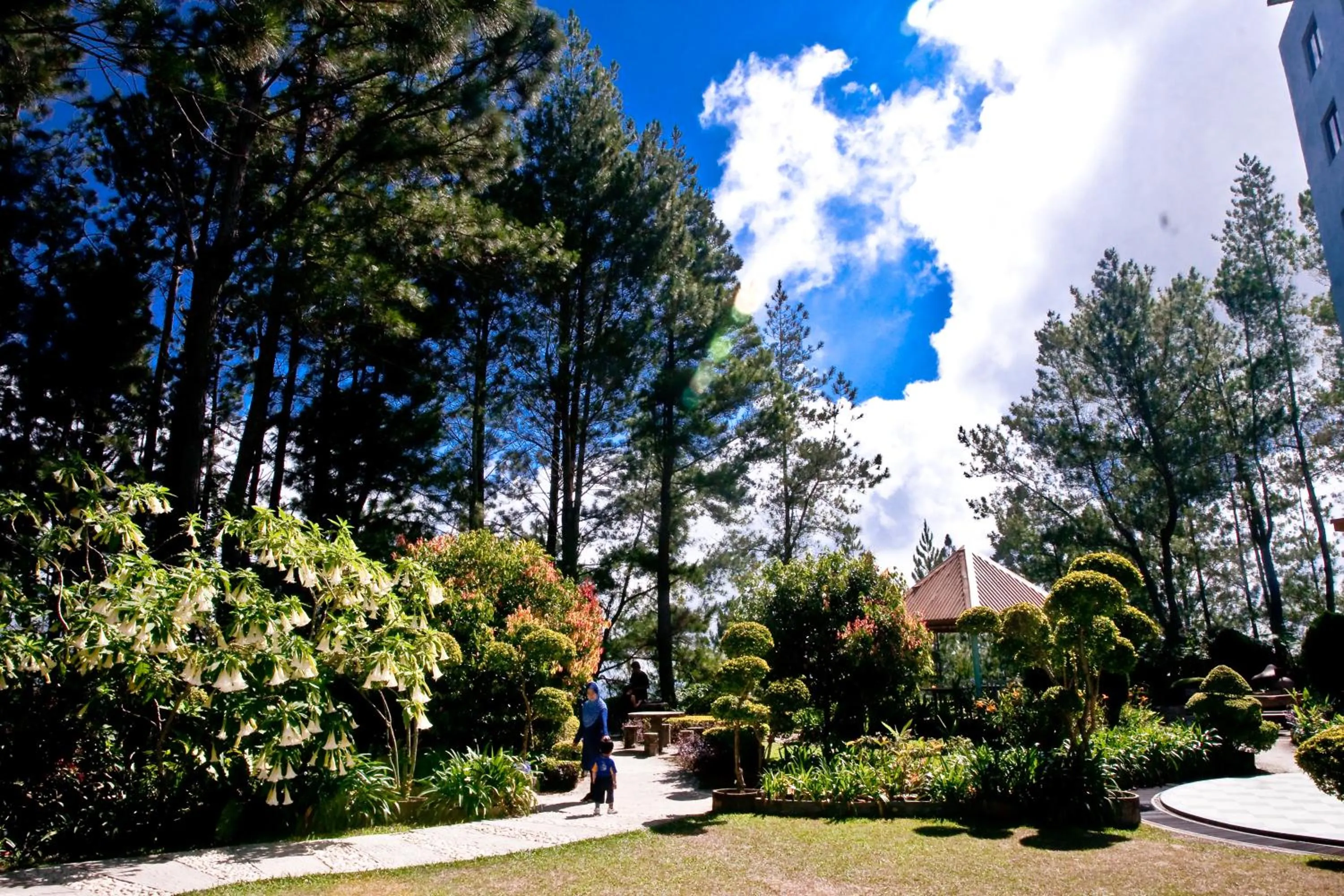 Perkasa Hotel Mt Kinabalu