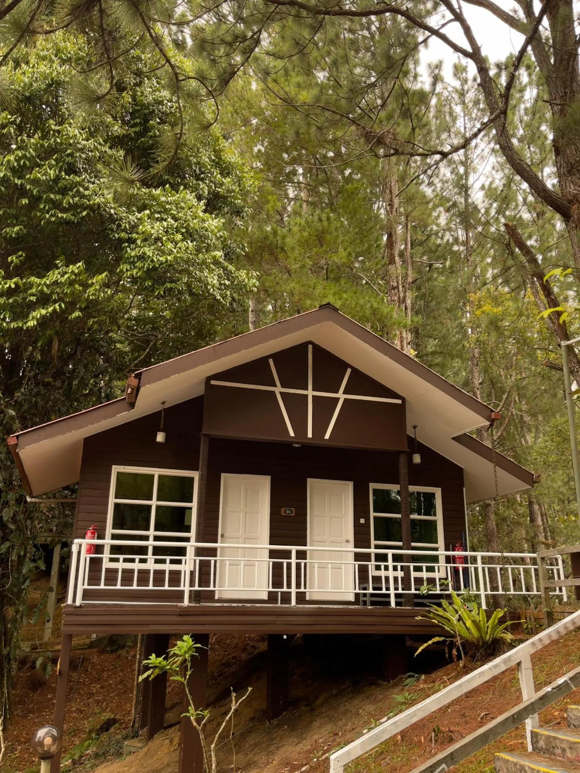 Spring in Perkasa Hotel Mt Kinabalu