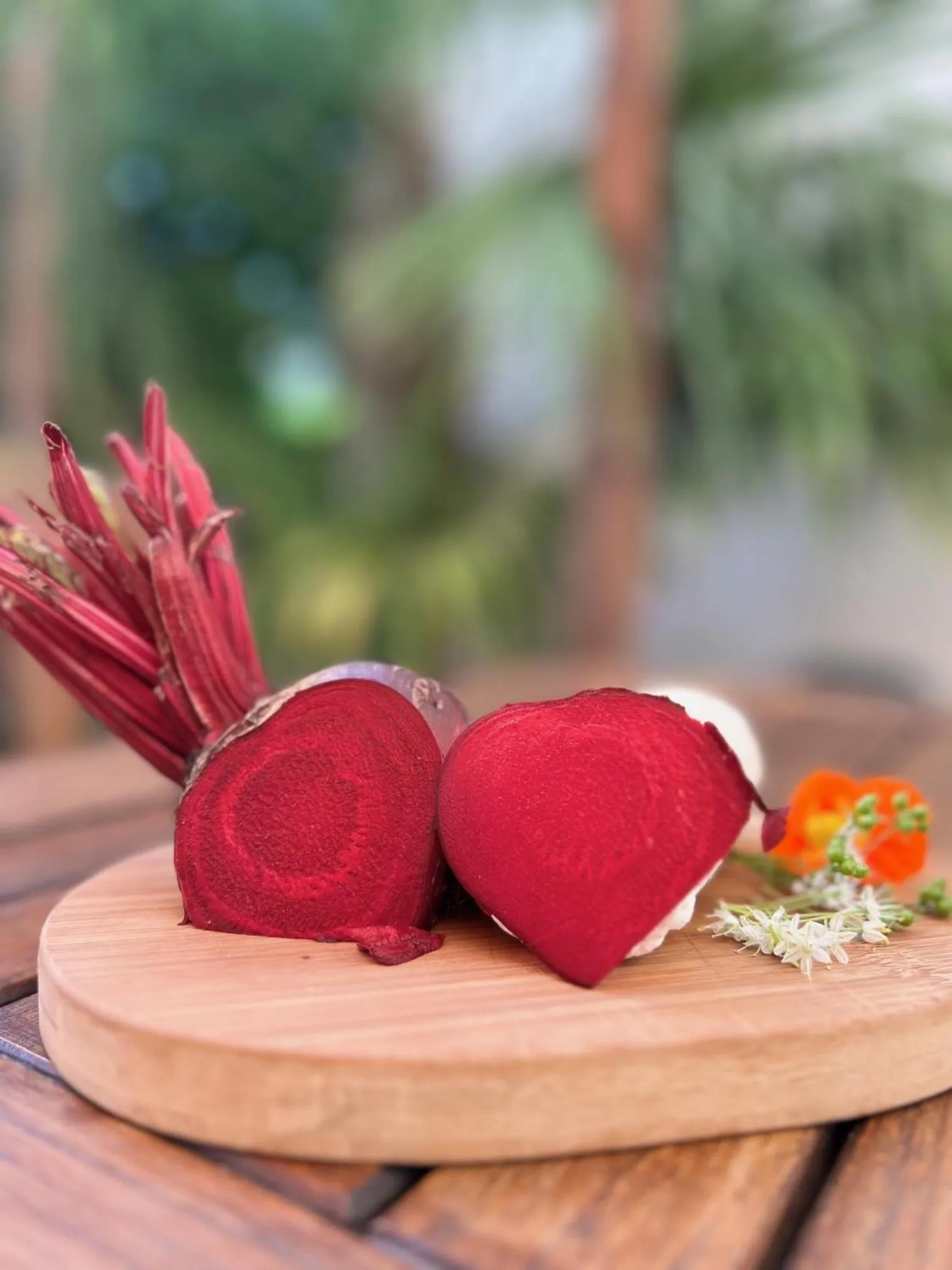 Activities in Les Tuileries de Chanteloup